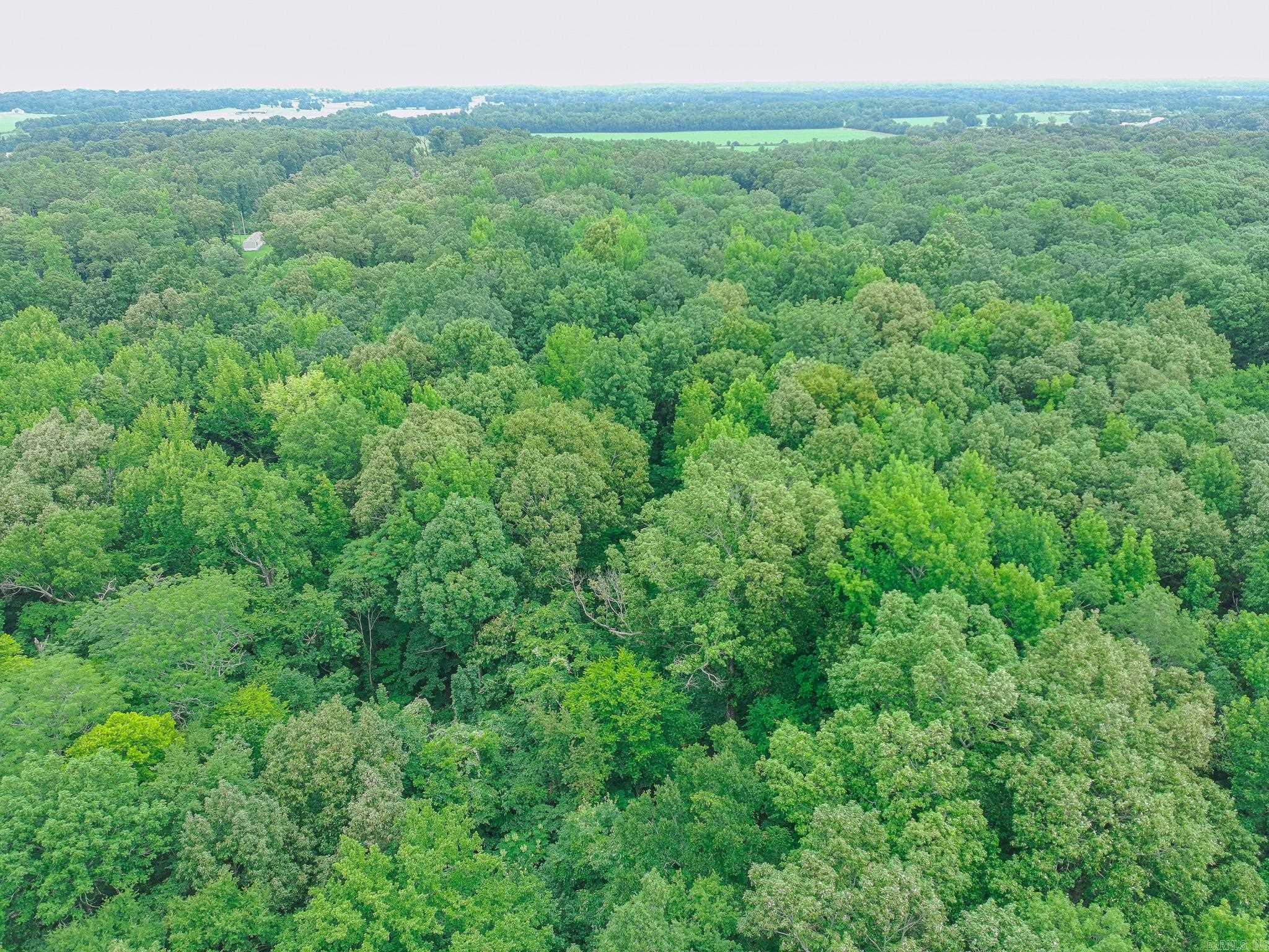 3 County Road 160  Jonesboro, AR