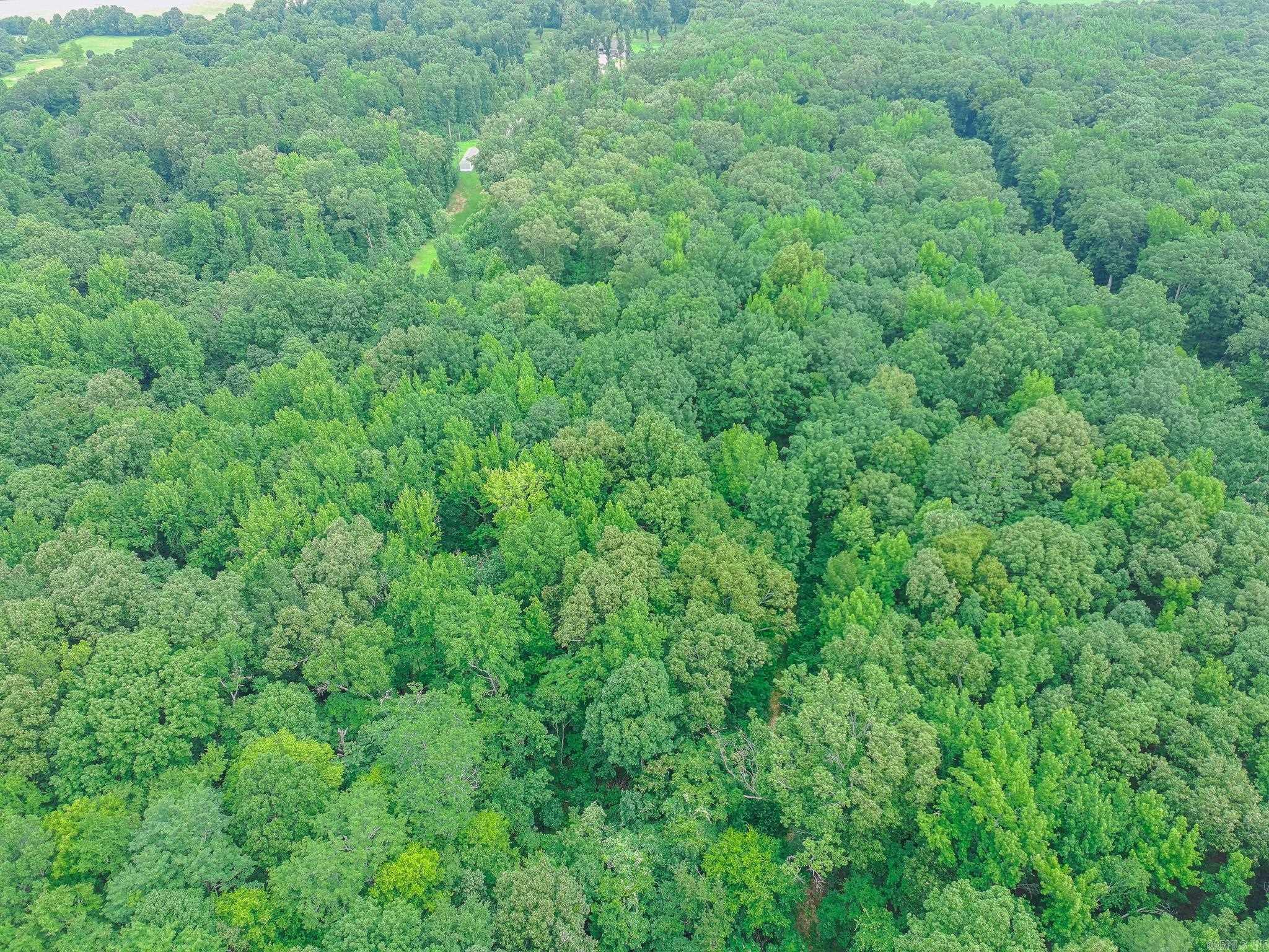 3 County Road 160  Jonesboro, AR