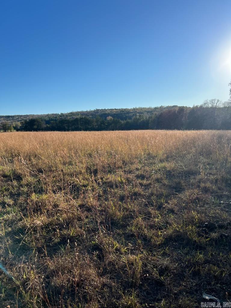 2035 Banner Mtn  Shirley, AR