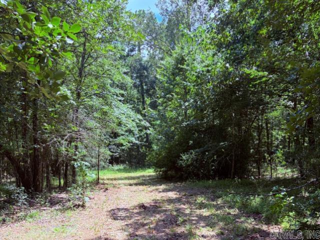 0 owl creek cutoff  Royal, AR