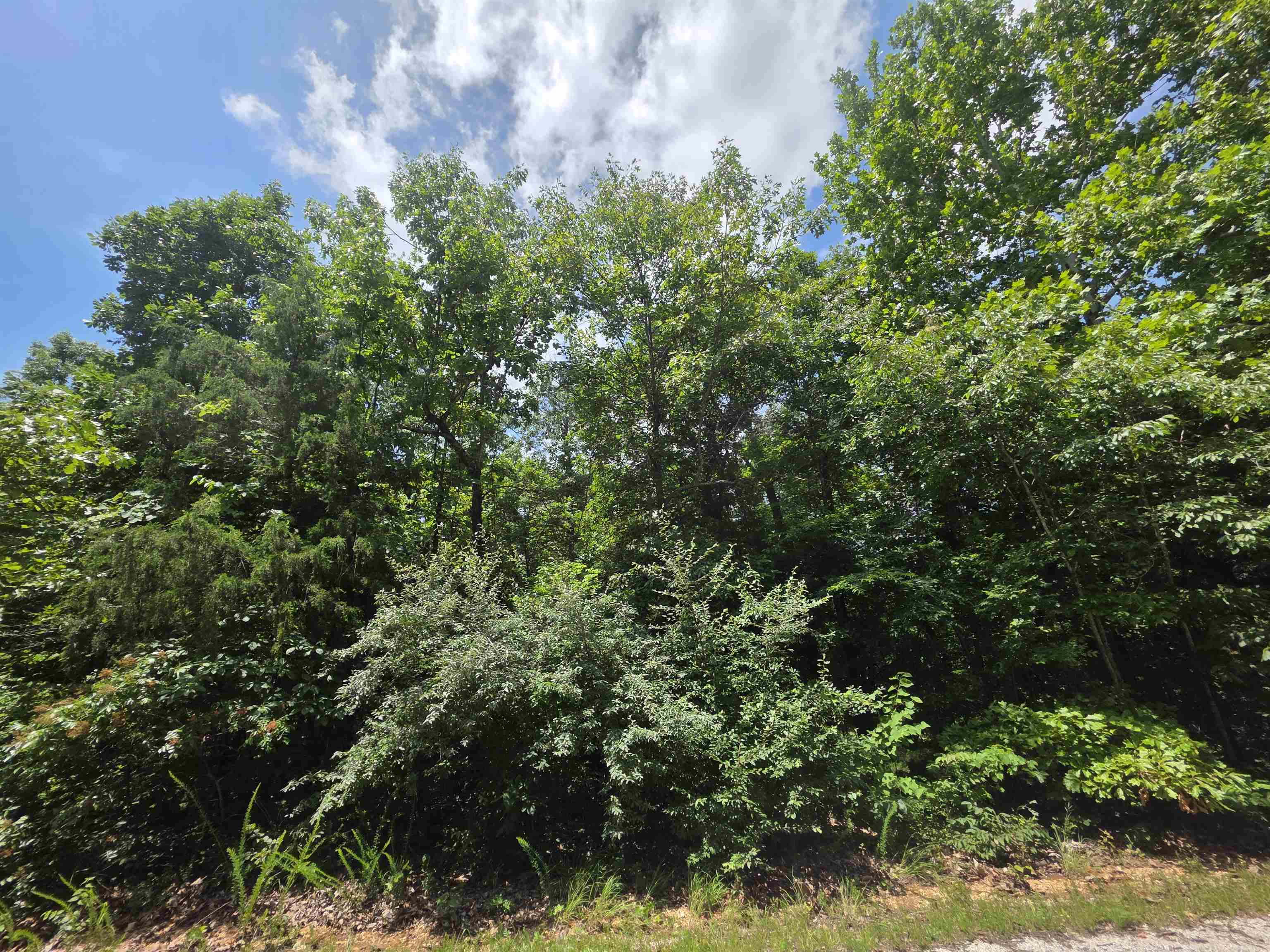 1101 S Michigan  Horseshoe Bend, AR