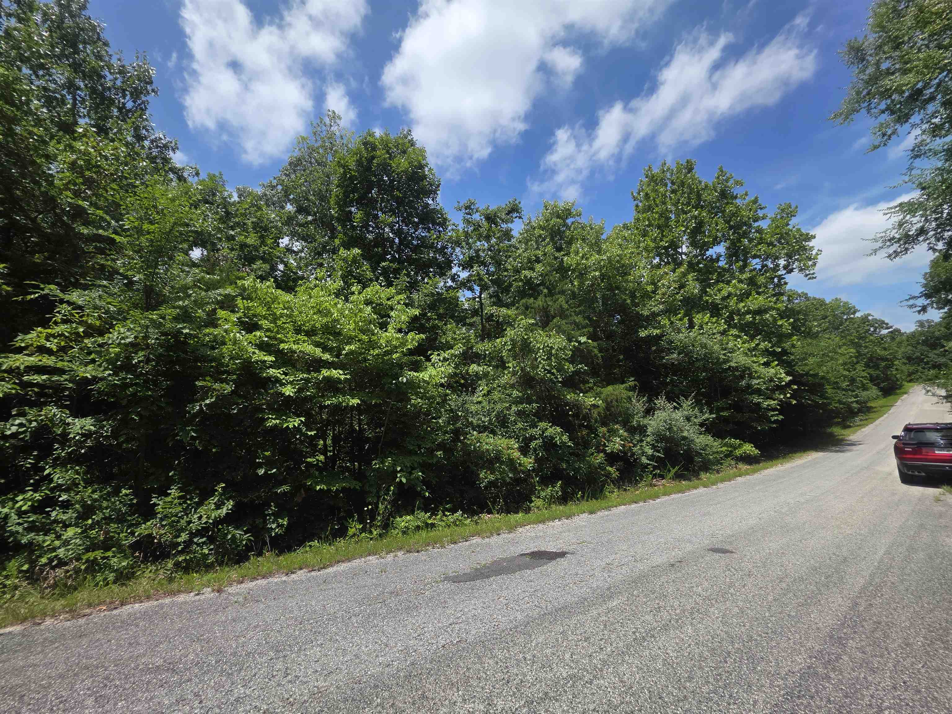 1101 S Michigan  Horseshoe Bend, AR