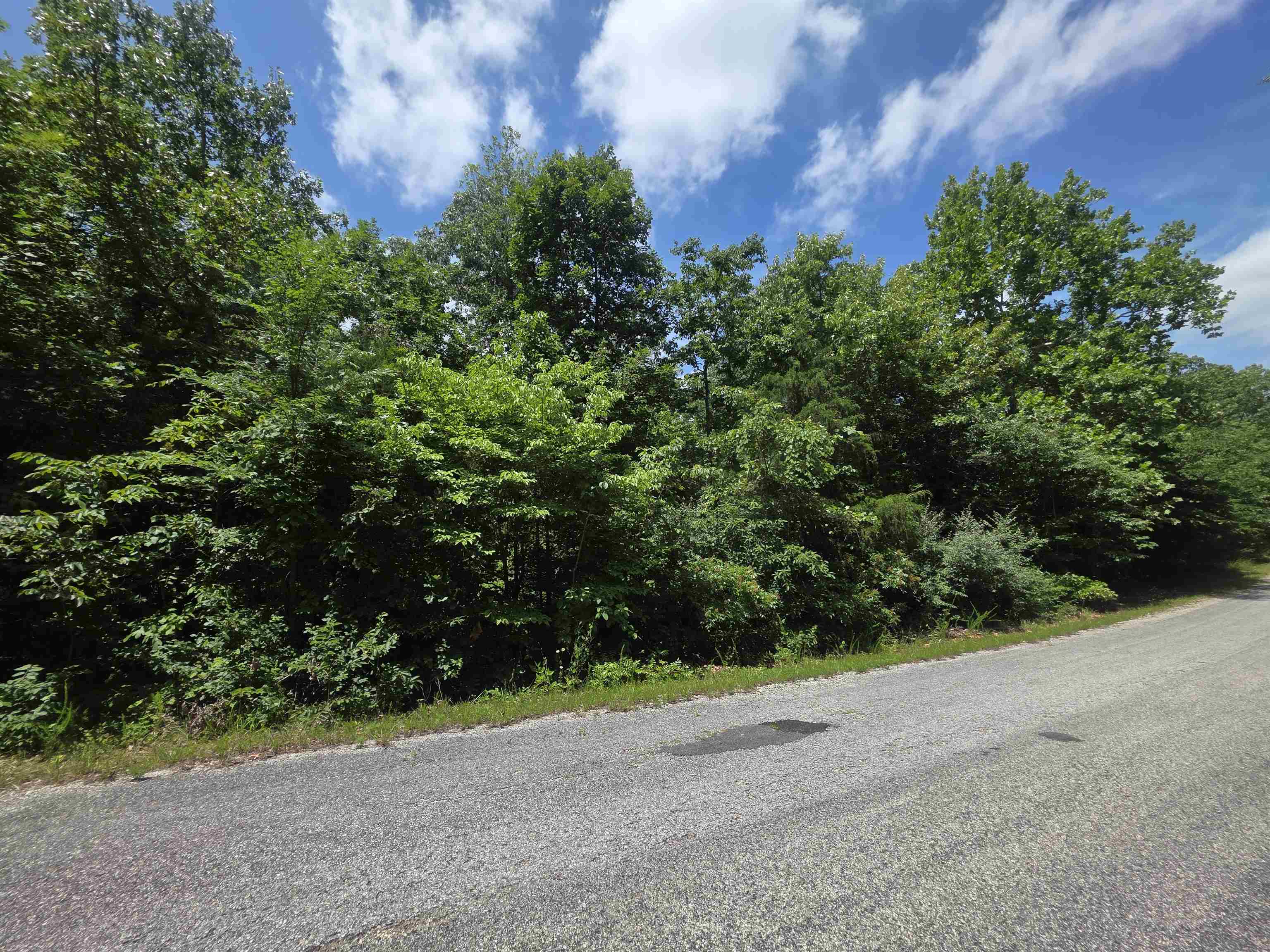 1101 S Michigan  Horseshoe Bend, AR