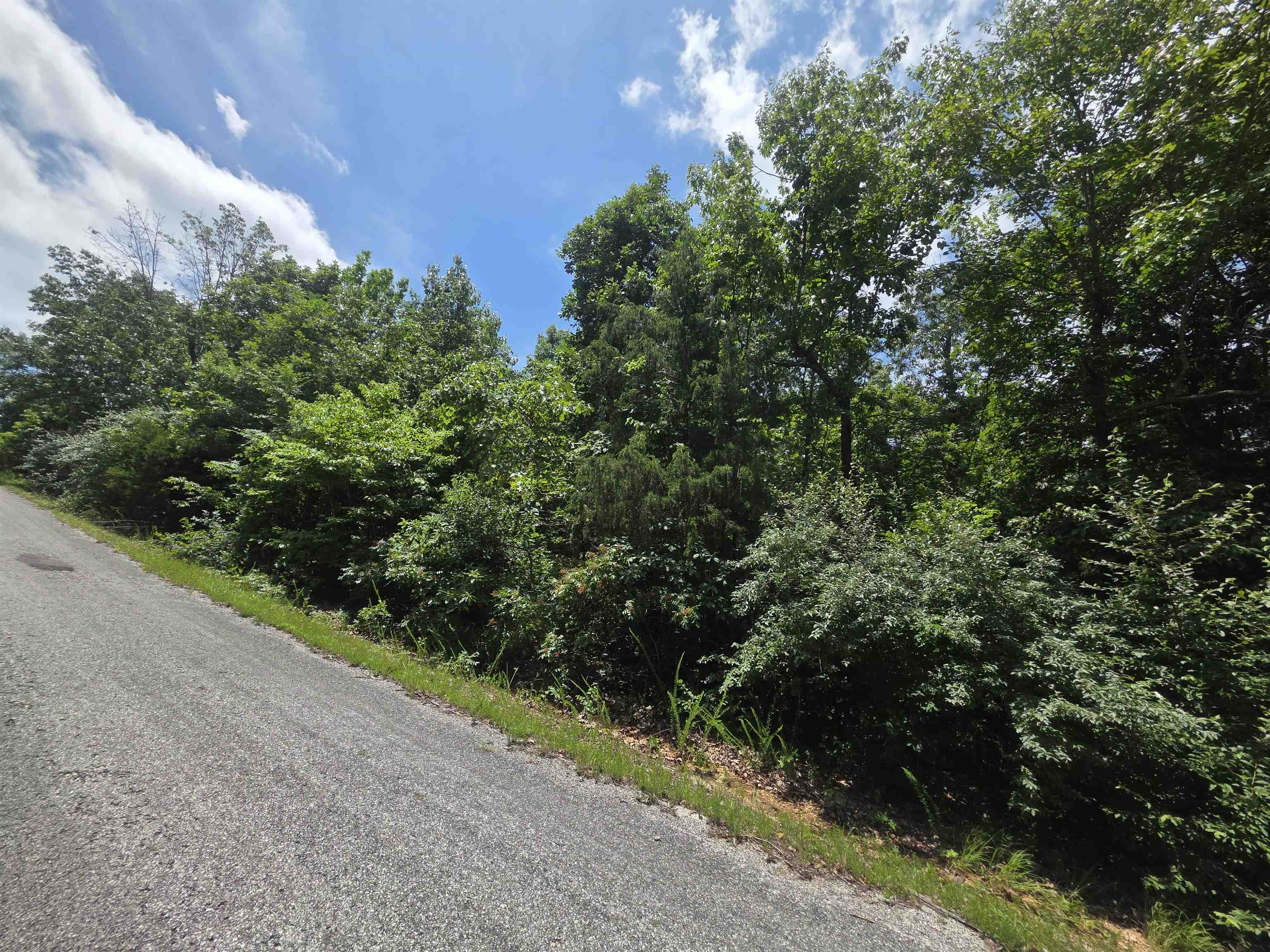 1101 S Michigan  Horseshoe Bend, AR