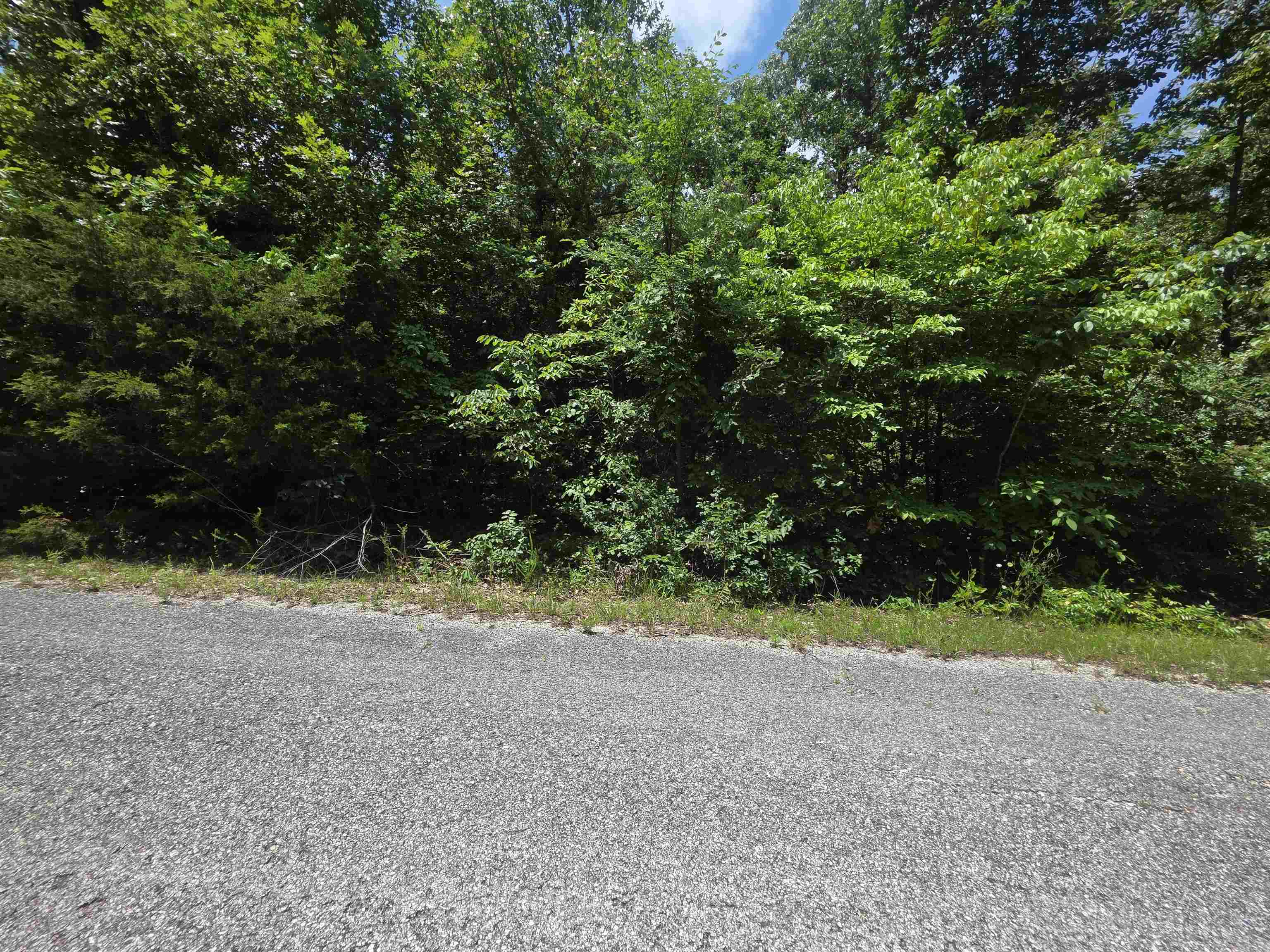 1101 S Michigan  Horseshoe Bend, AR