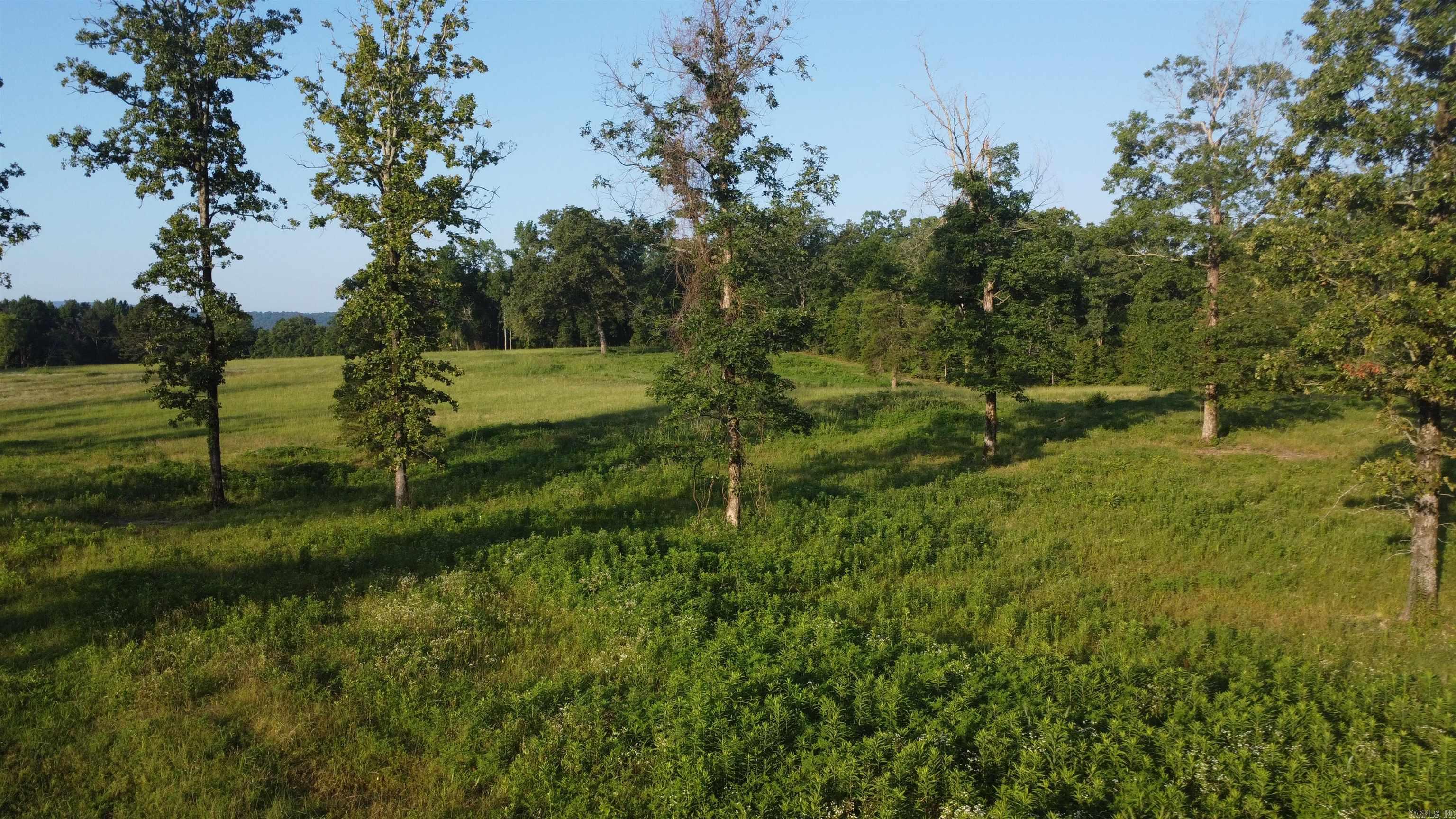 Tract 08 TBD Whittington Homestead  Story, AR