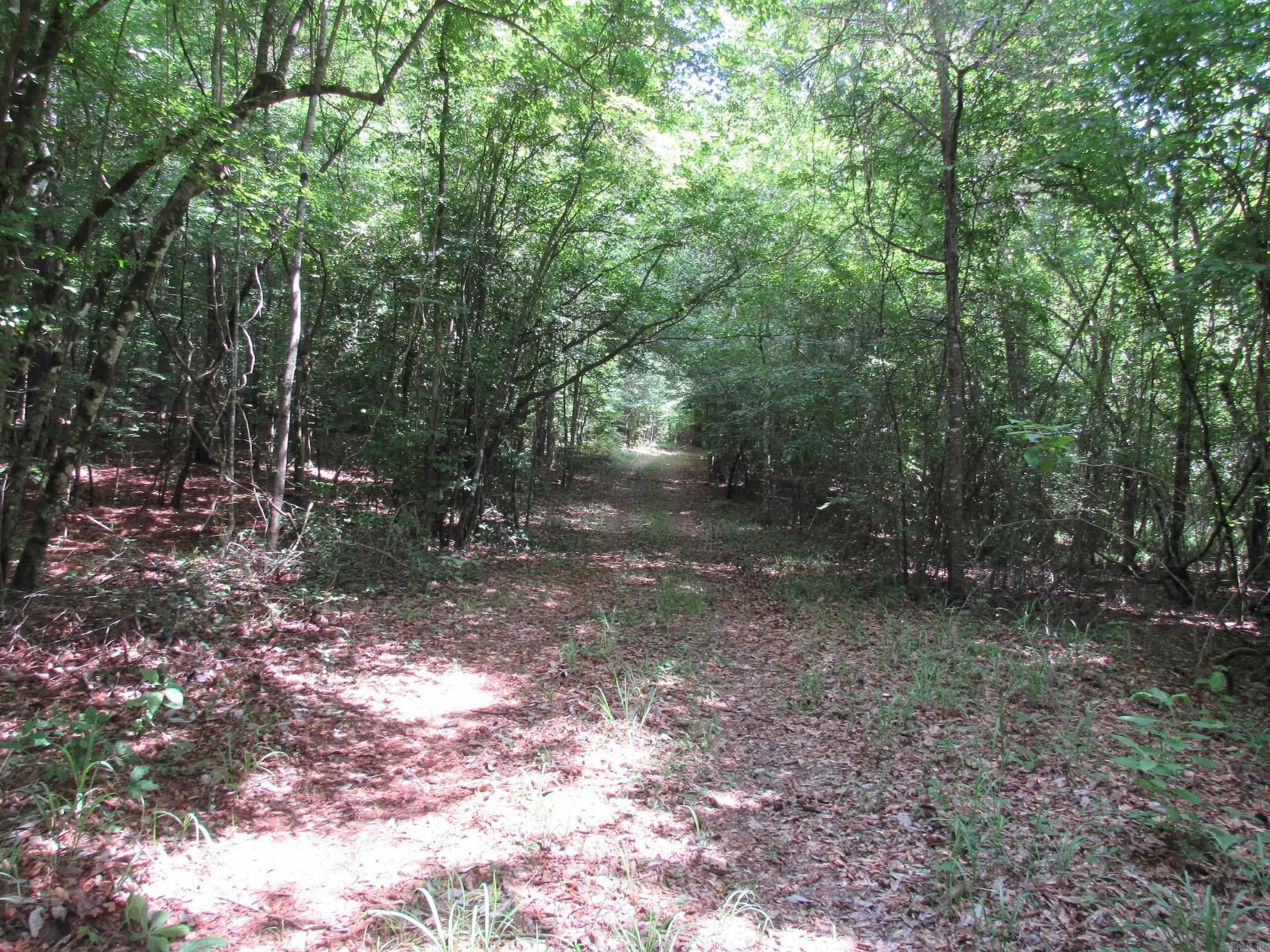1869 E Stateline  Junction City, AR