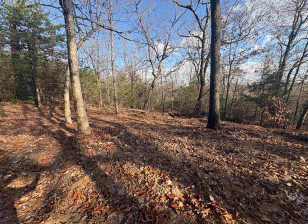 Tract C & D Hwy 101  Gamaliel, AR