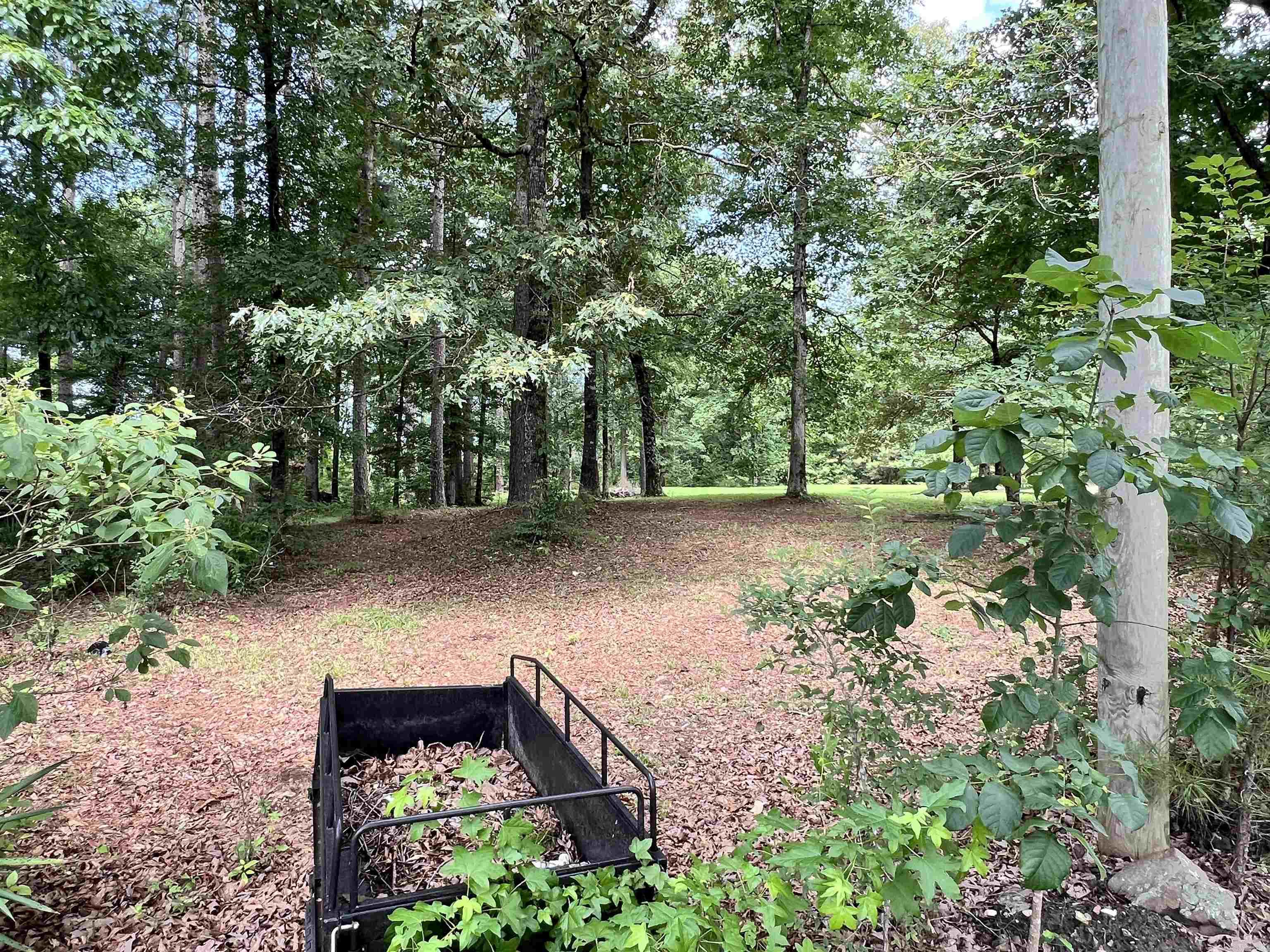 2482 Cane Creek  Star City, AR