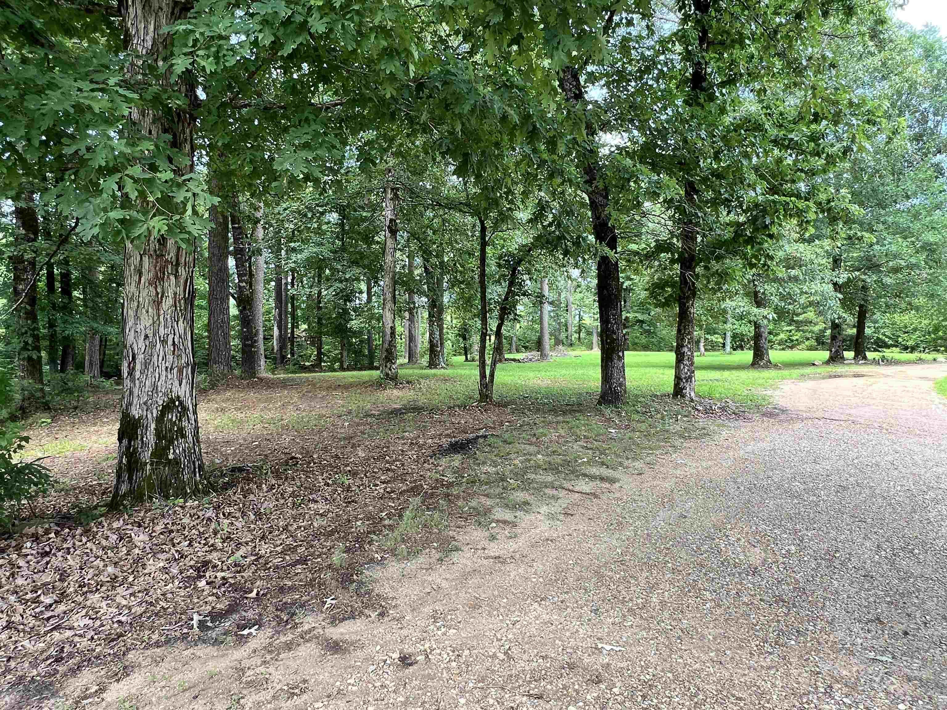 2482 Cane Creek  Star City, AR