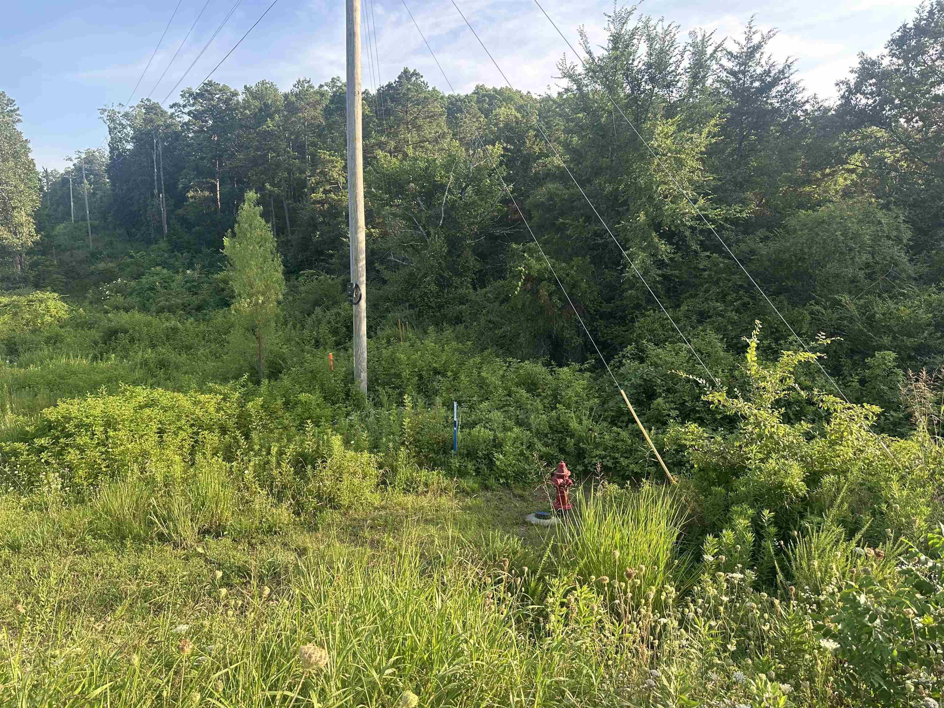 34.35 Acres Hwy 65 N.  Clinton, AR
