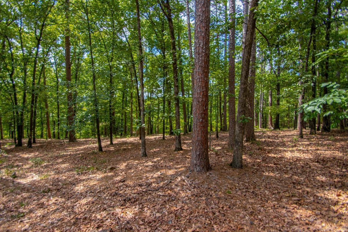 13001 Ridgehaven  Little Rock, AR