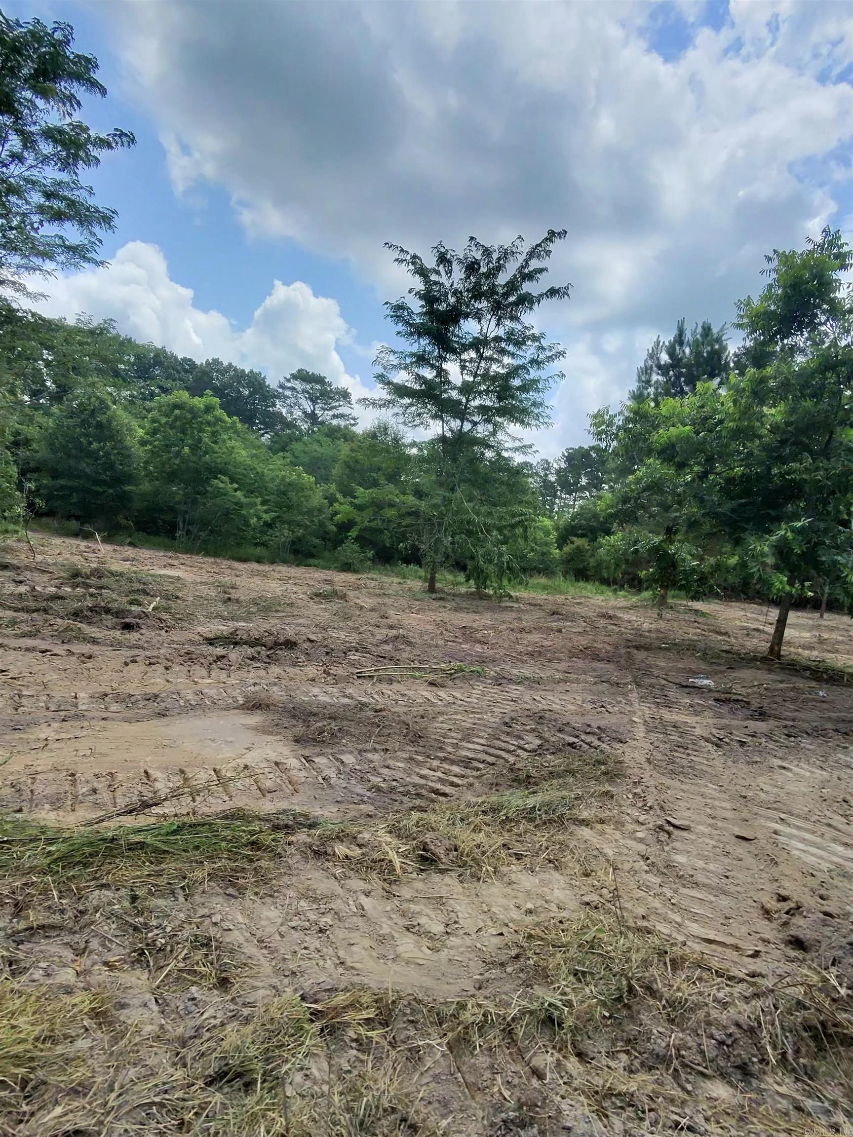 TBD Easement Road off Polk Road 31  Cove, AR