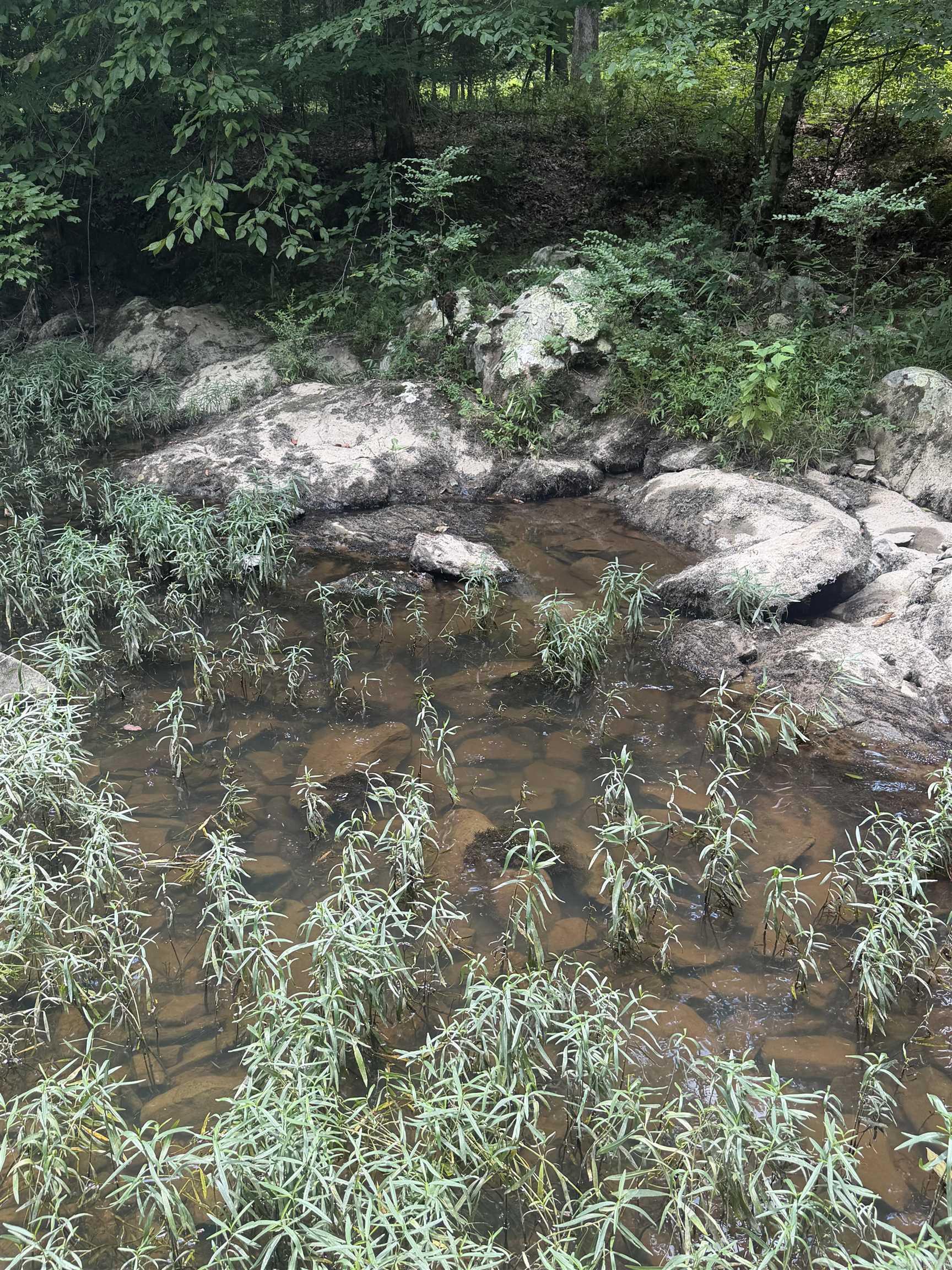 TBD Easement Road off Polk Road 31  Cove, AR