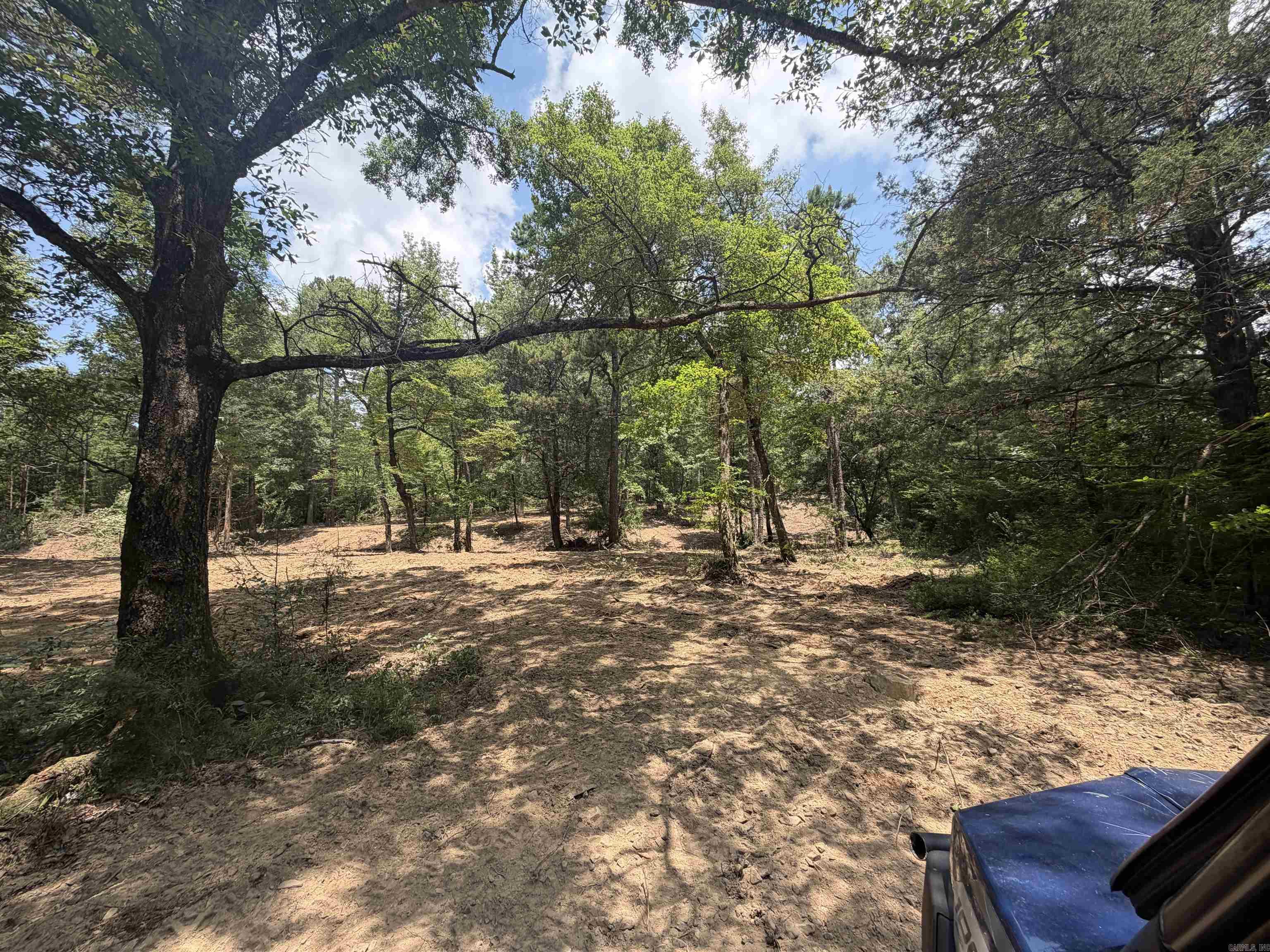 TBD Easement Road off Polk Road 31  Cove, AR