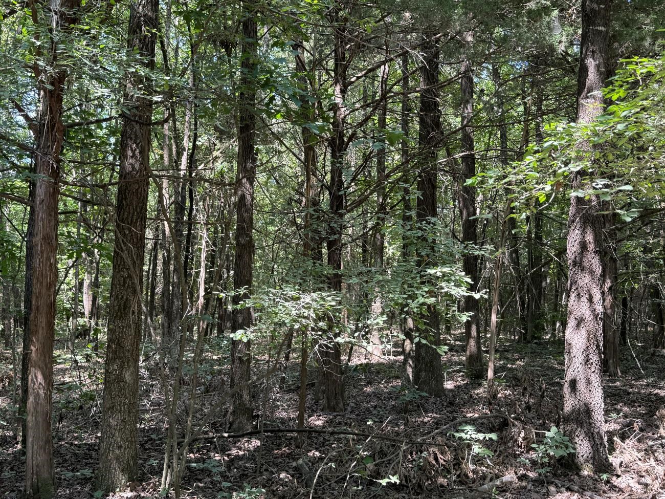 27 Lawrence Road 134  Black Rock, AR