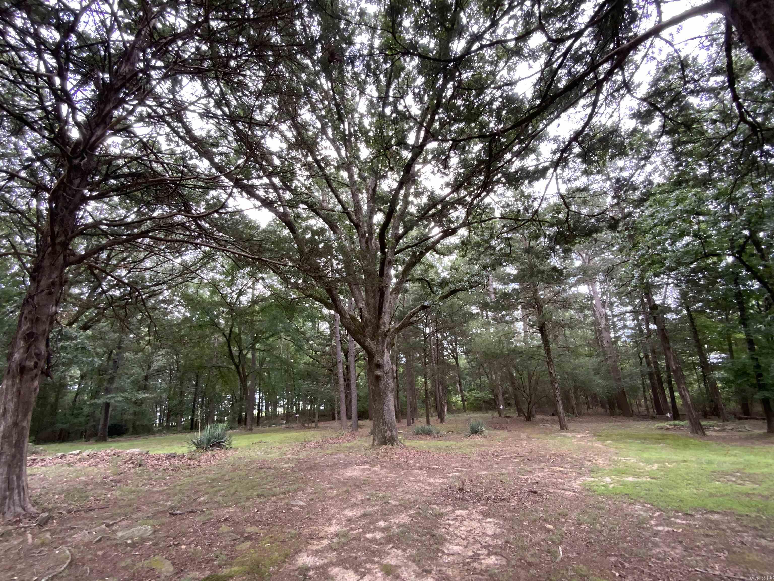 29 Harbor Hill  Heber Springs, AR