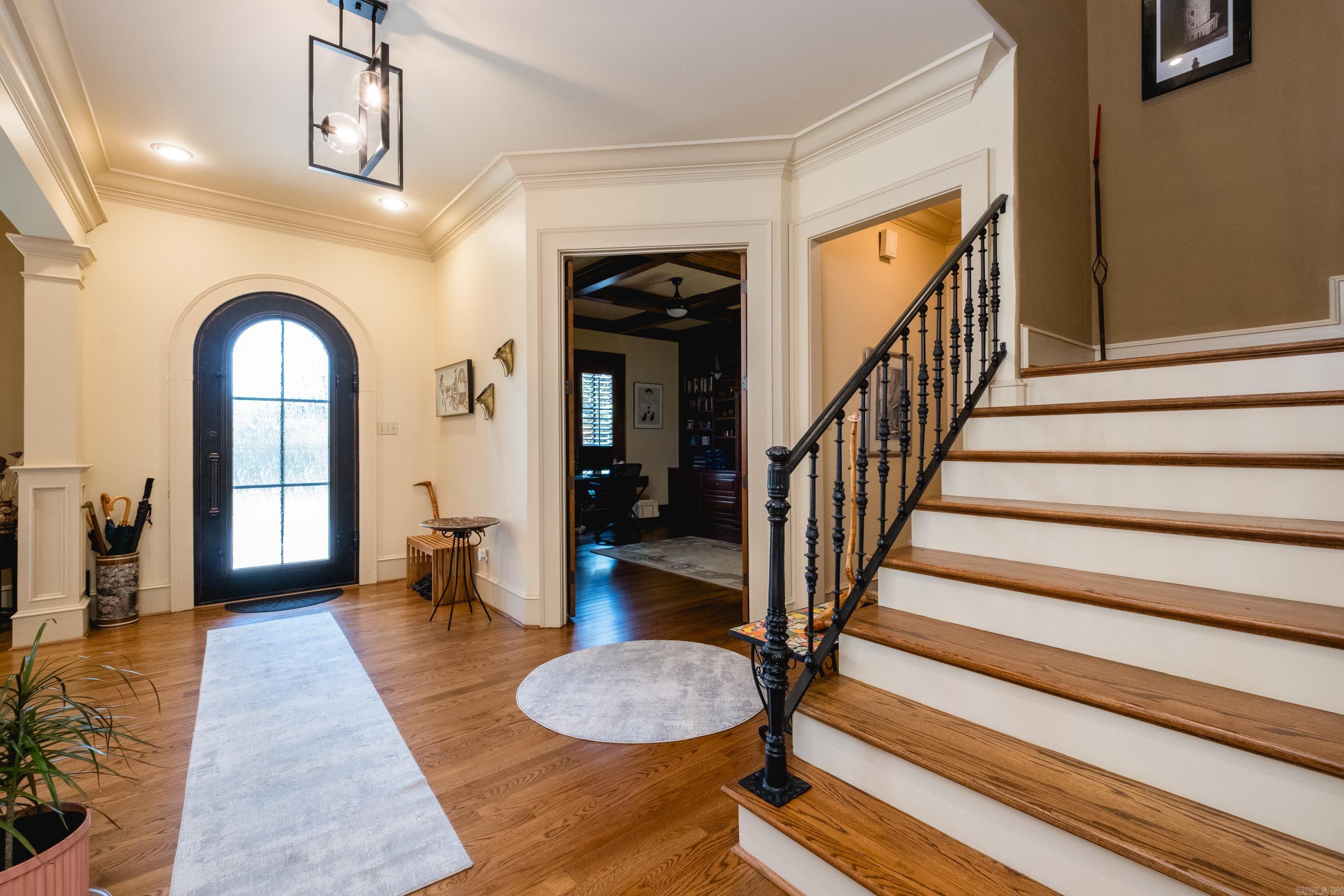 81 Quercus  Little Rock, AR