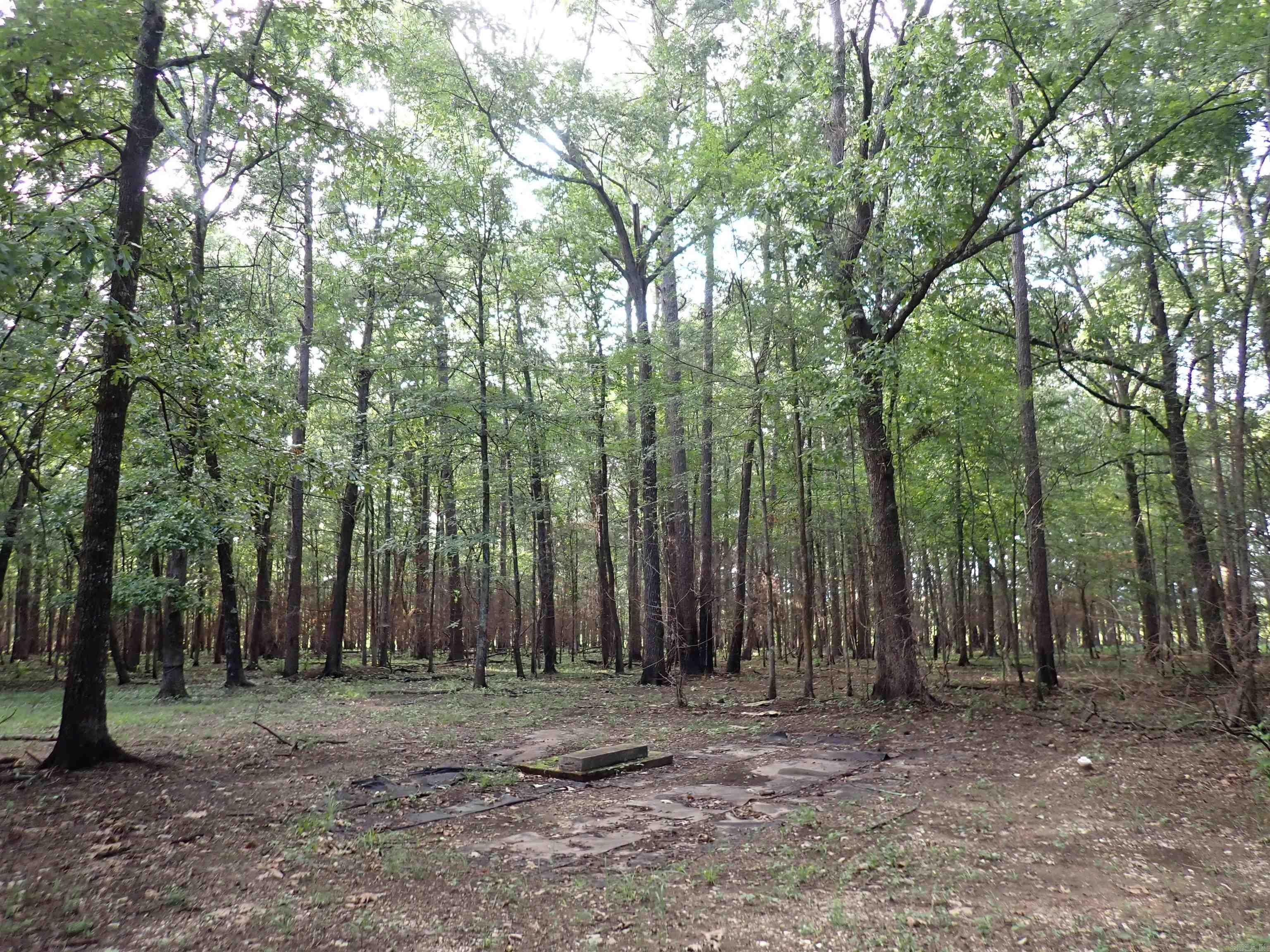 70 Whippoorwill  Arkadelphia, AR