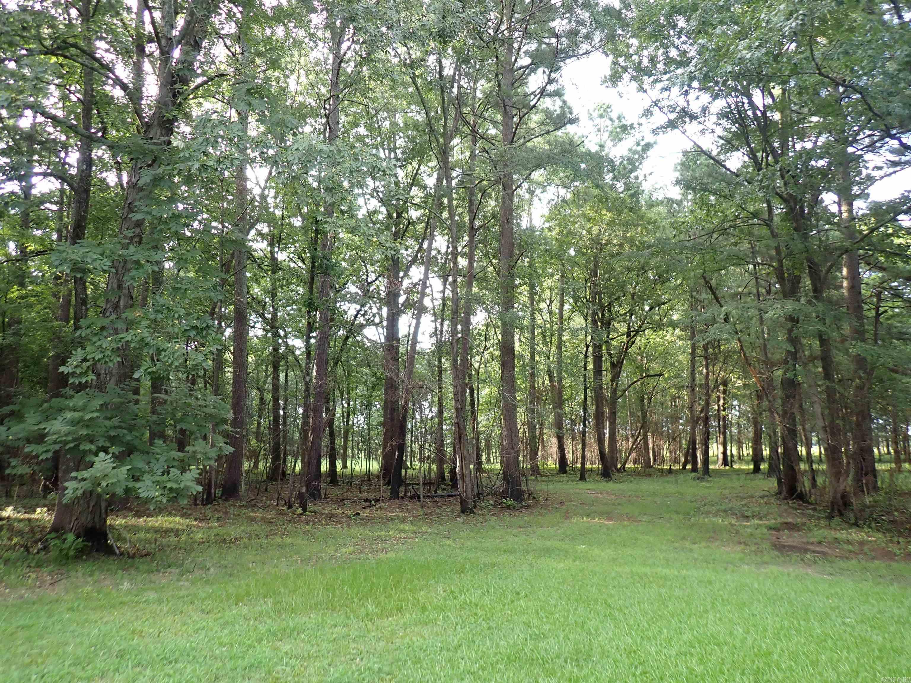 70 Whippoorwill  Arkadelphia, AR