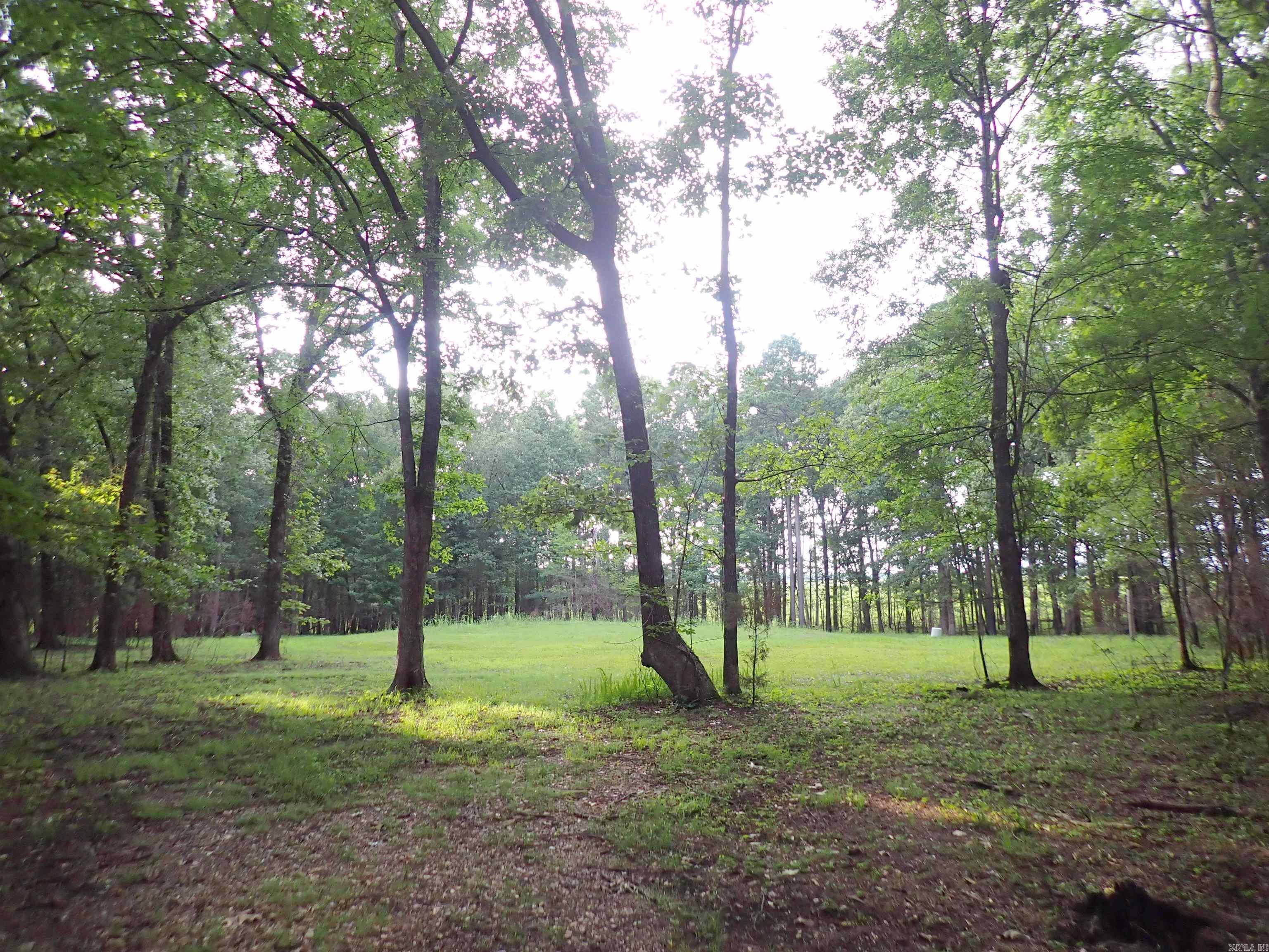 70 Whippoorwill  Arkadelphia, AR