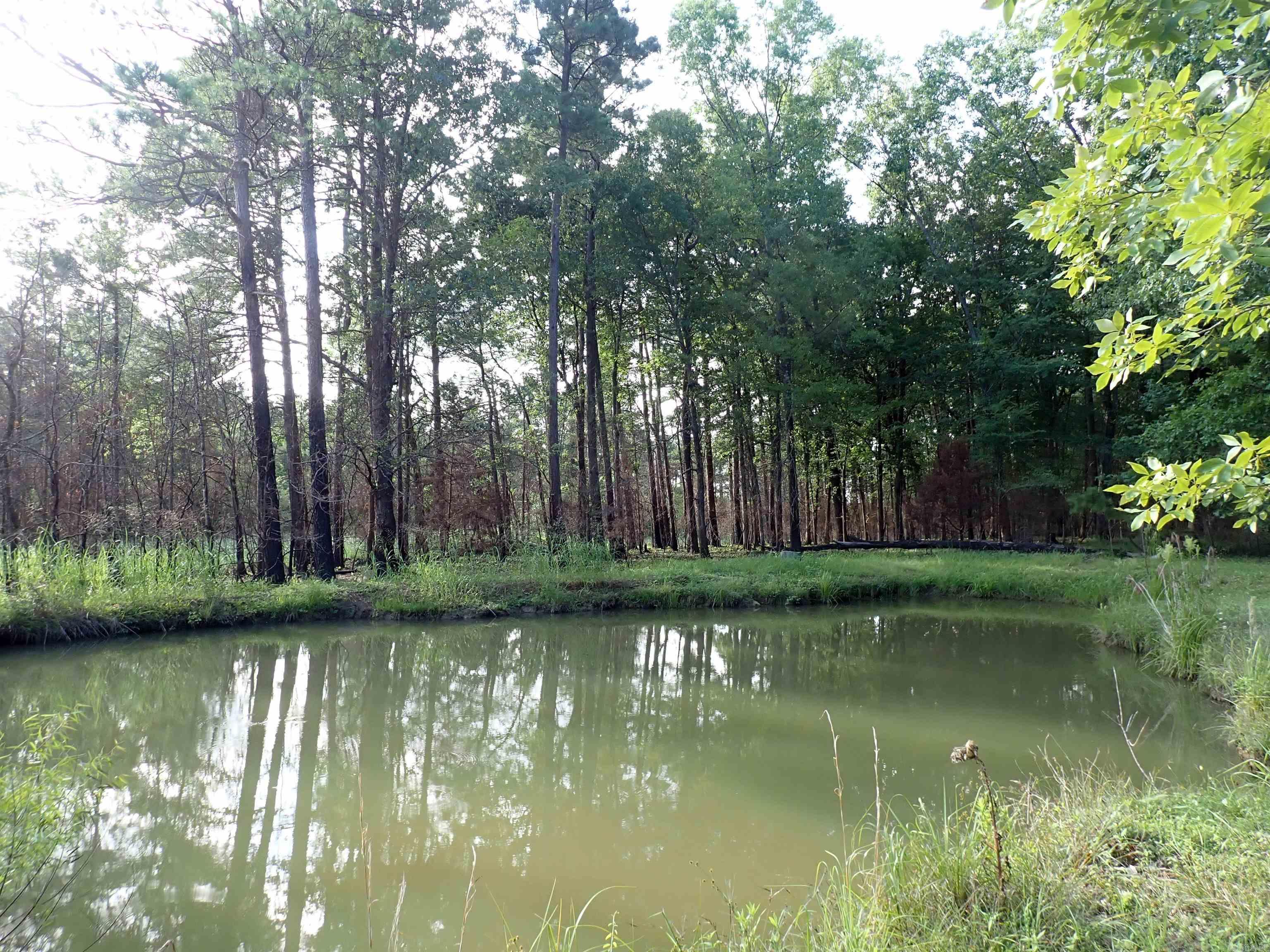 70 Whippoorwill  Arkadelphia, AR