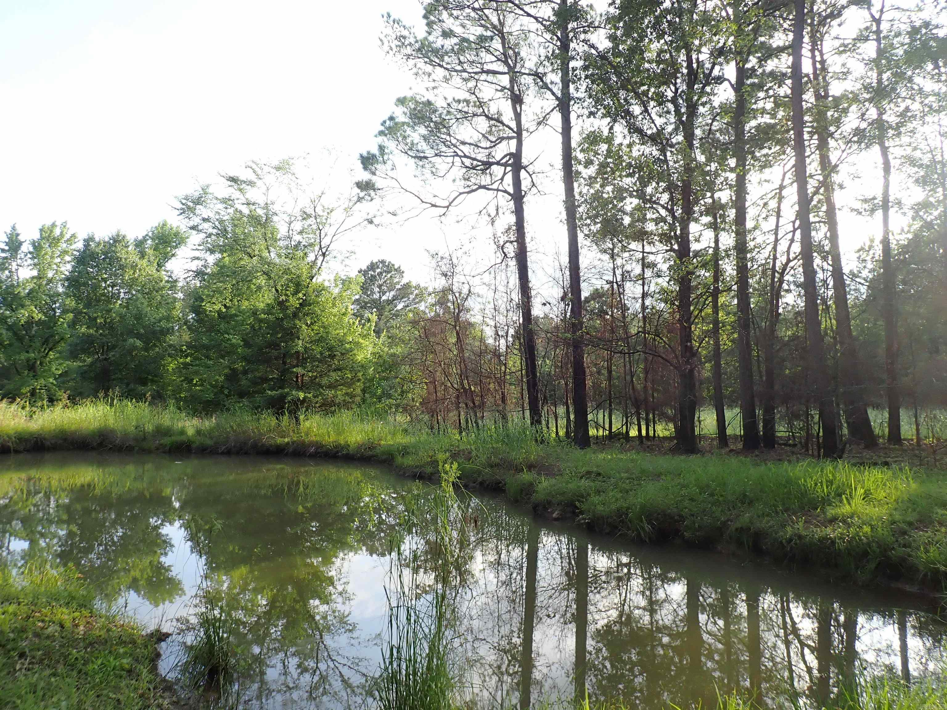 70 Whippoorwill  Arkadelphia, AR