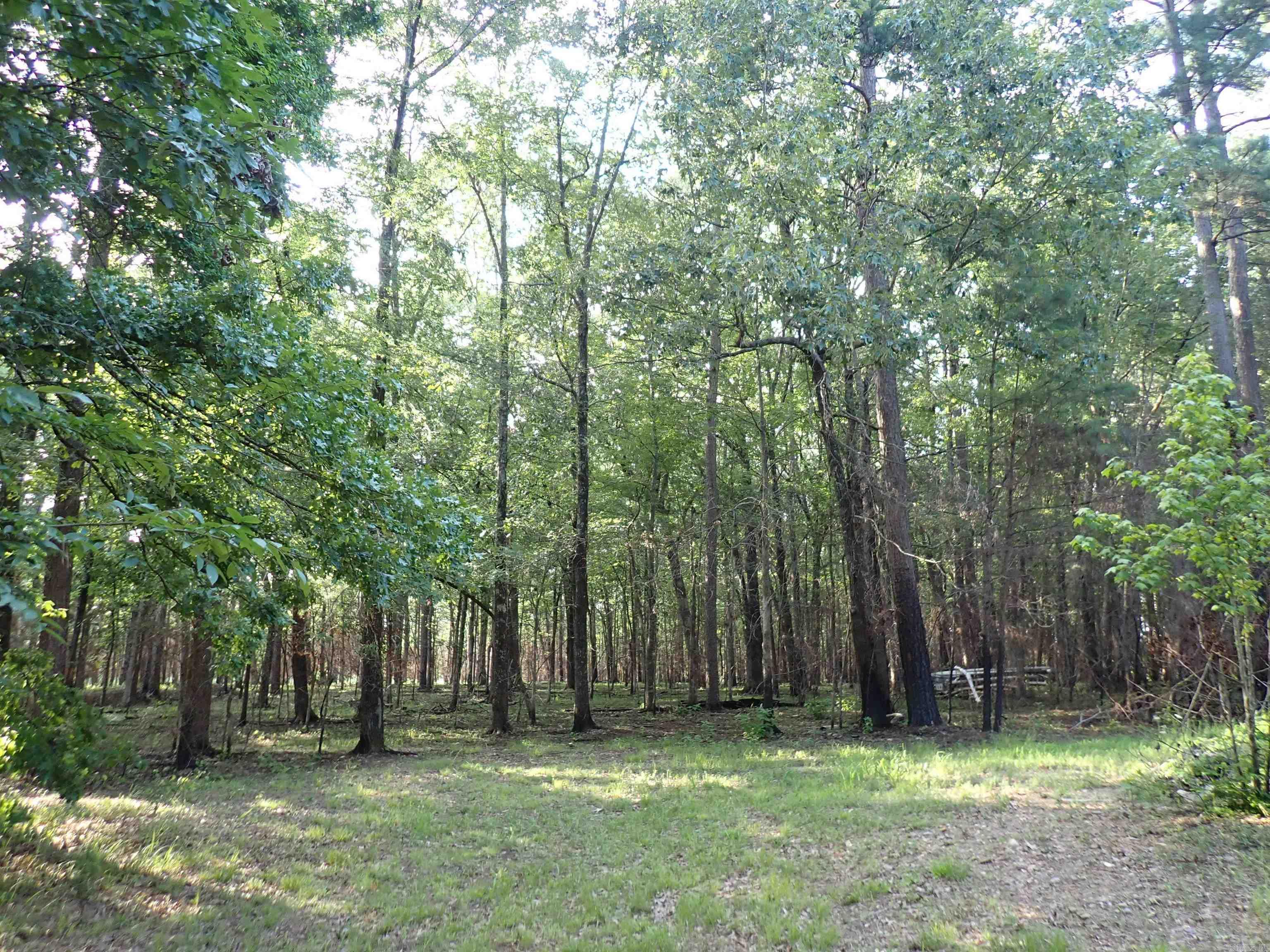 70 Whippoorwill  Arkadelphia, AR