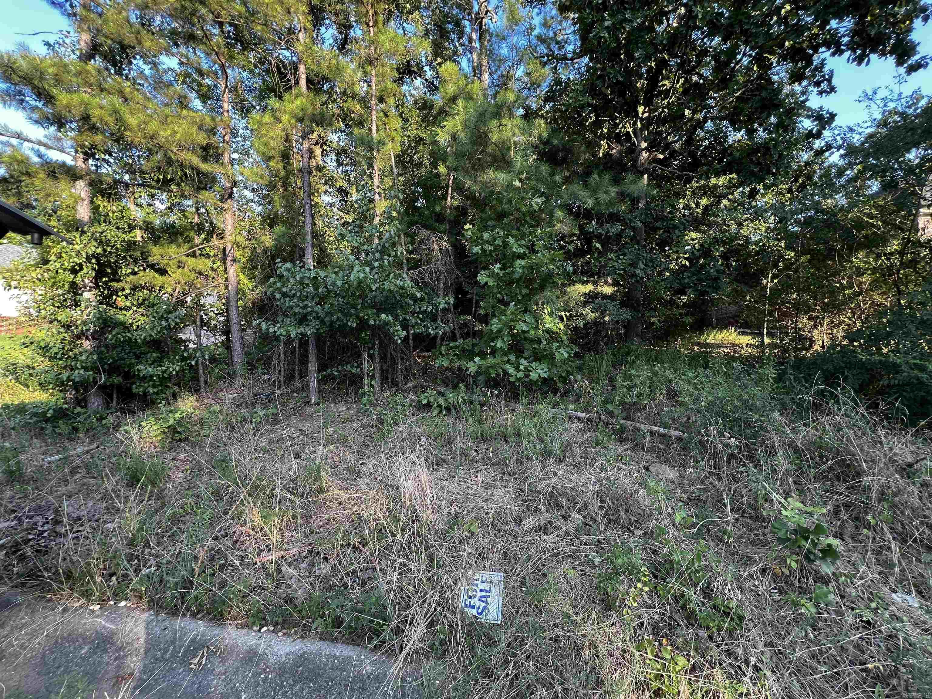 23 Park Ridge  Maumelle, AR