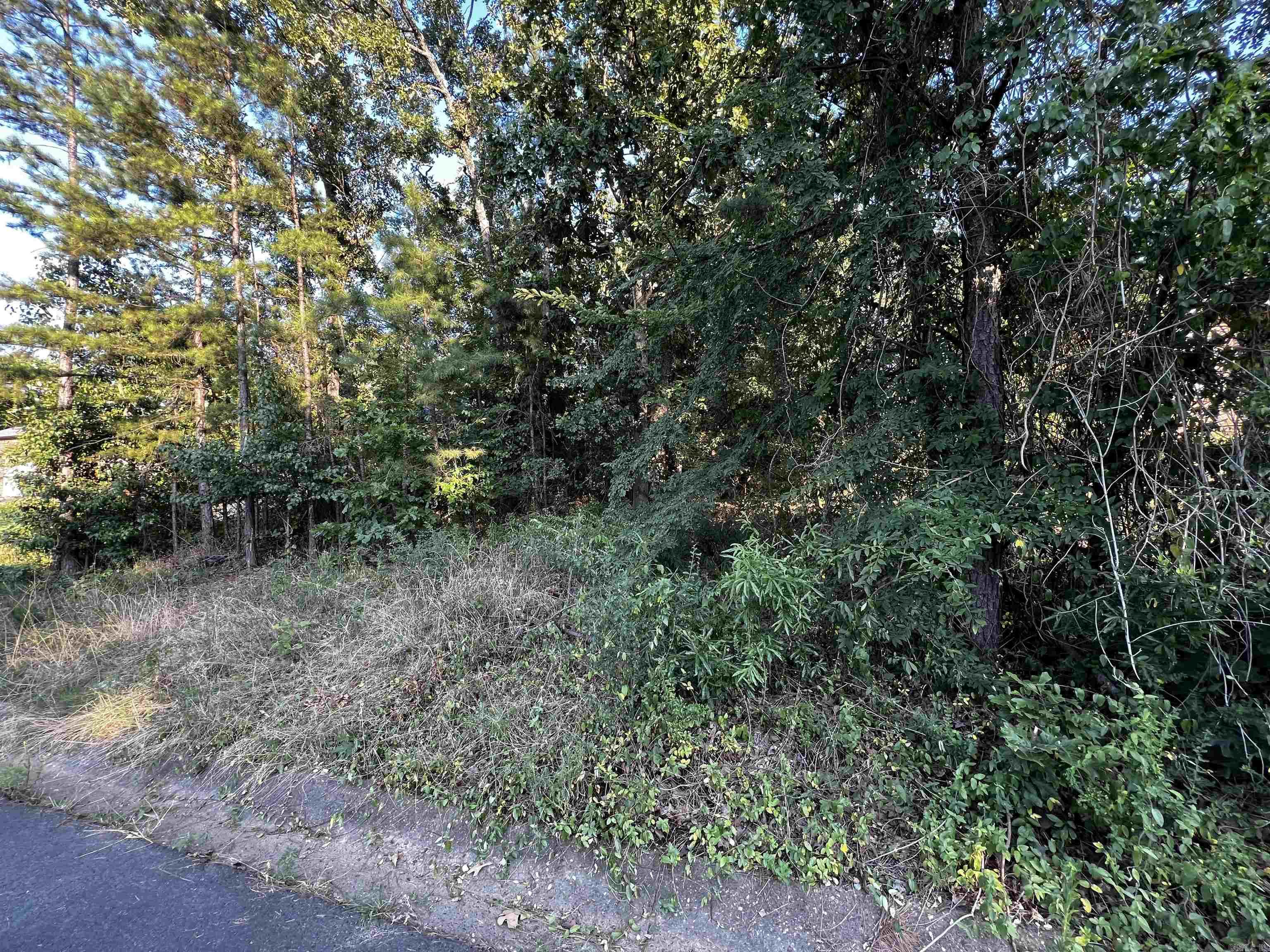 23 Park Ridge  Maumelle, AR
