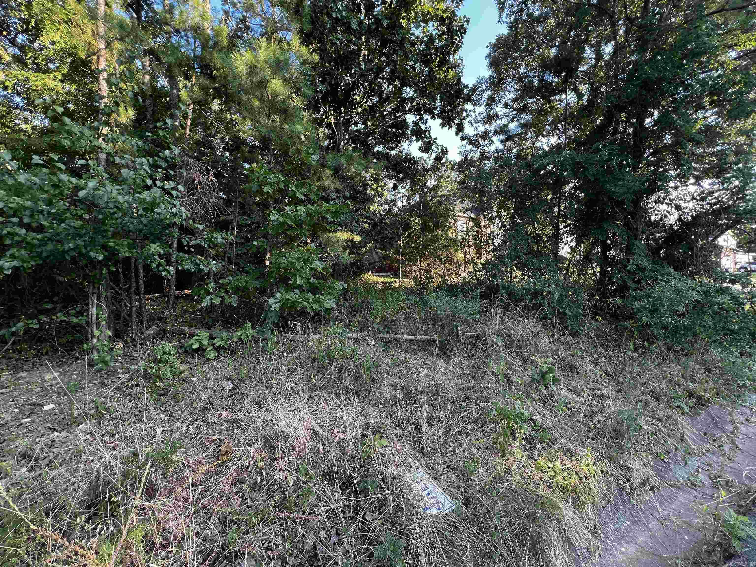 23 Park Ridge  Maumelle, AR