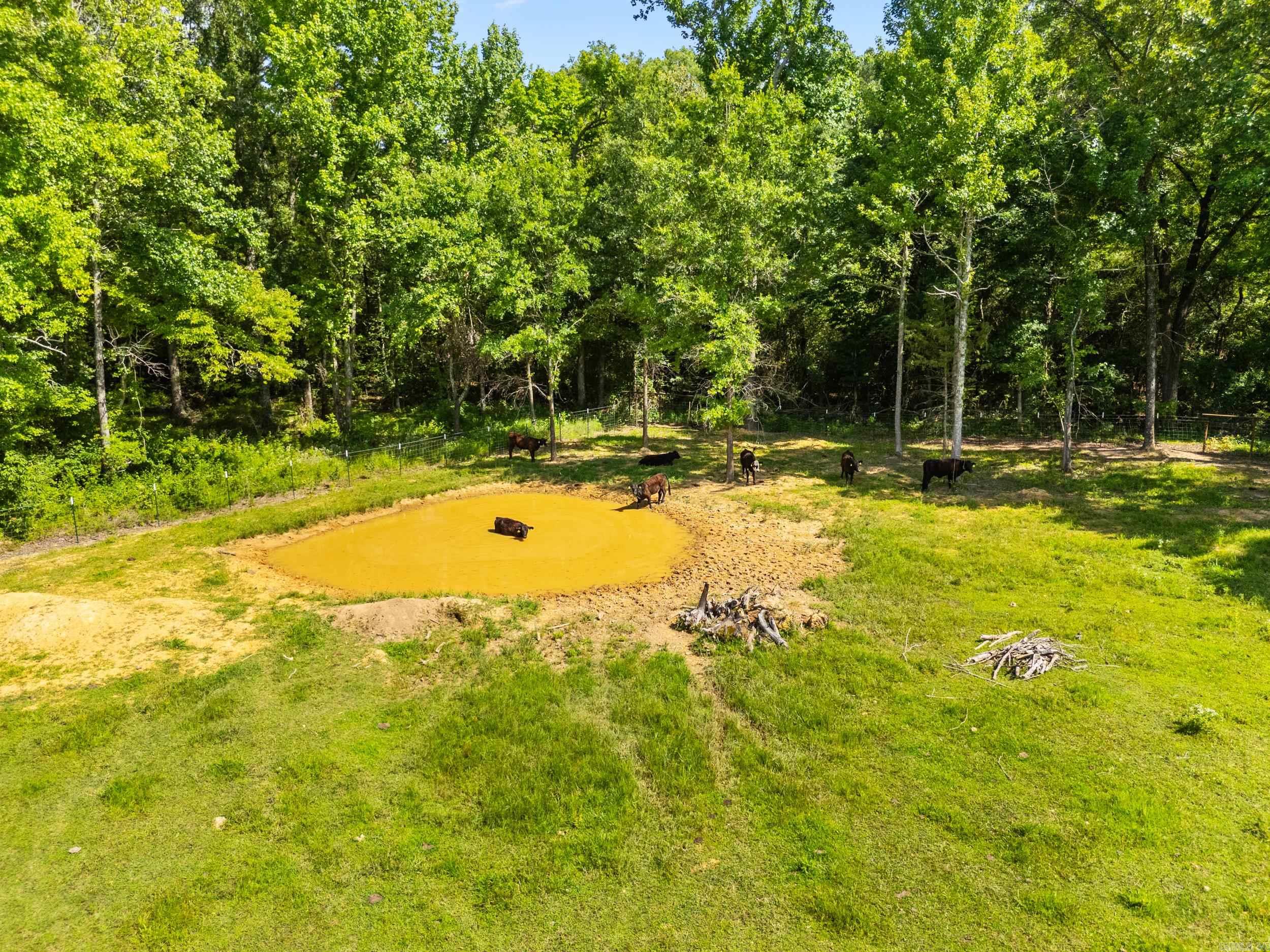 157 S Mt Olive  Vilonia, AR