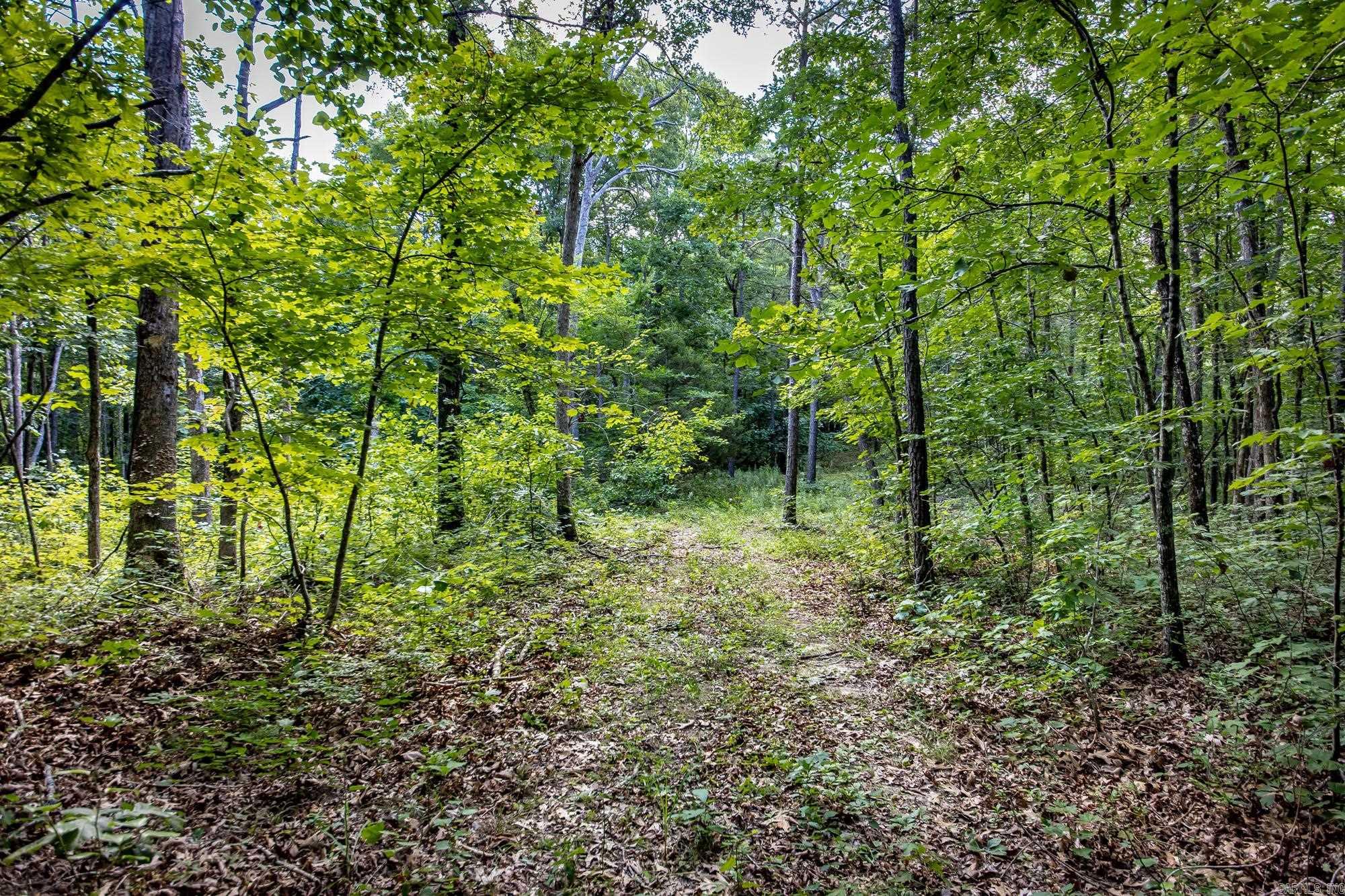 Highway 16 West  Crabtree, AR