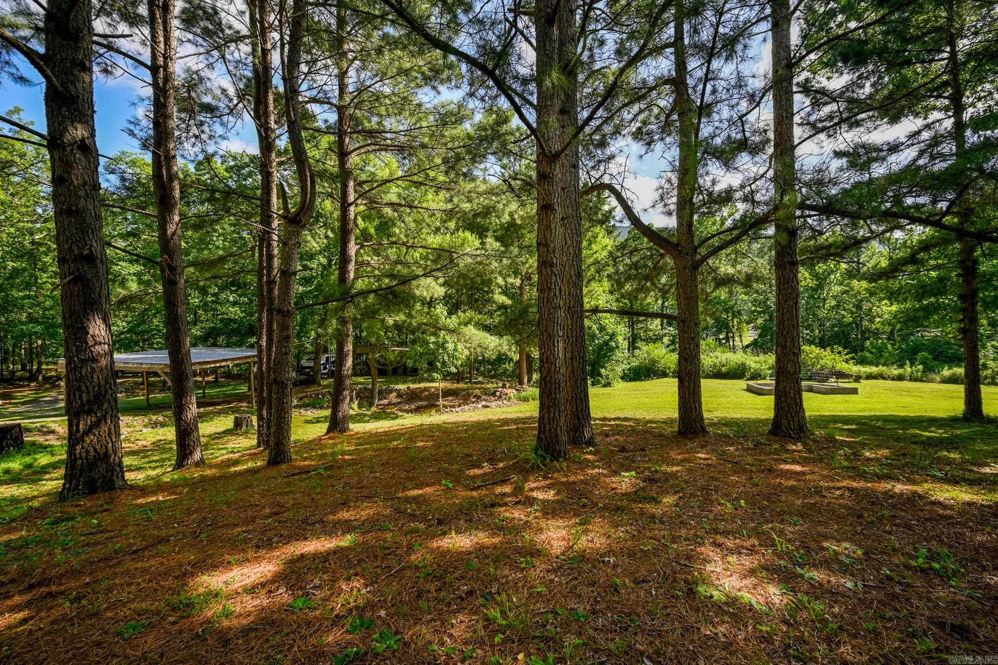 115 Ryder Ln  Mena, AR