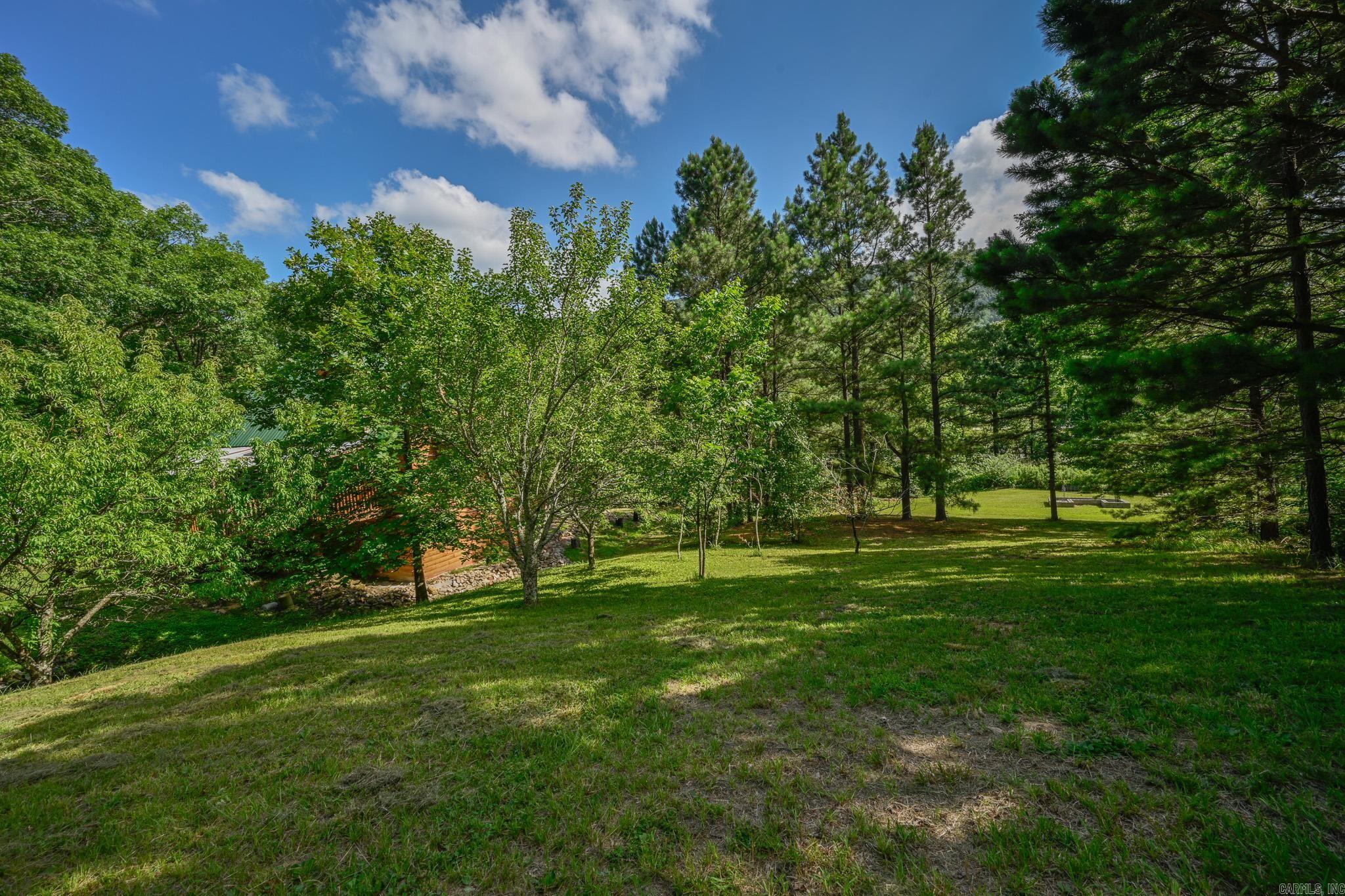 115 Ryder Ln  Mena, AR