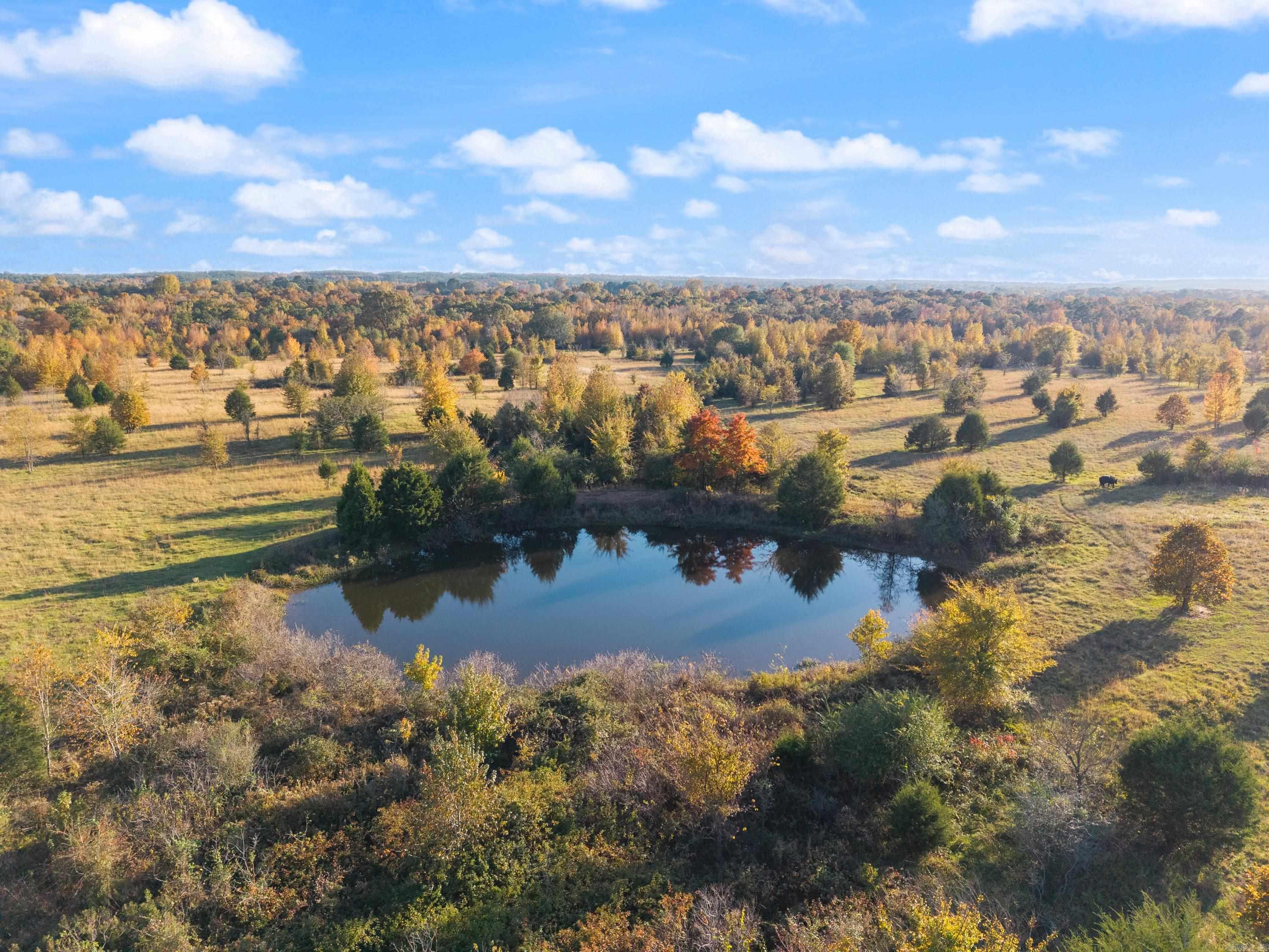 172 Blackfork Rd  Greenbrier, AR