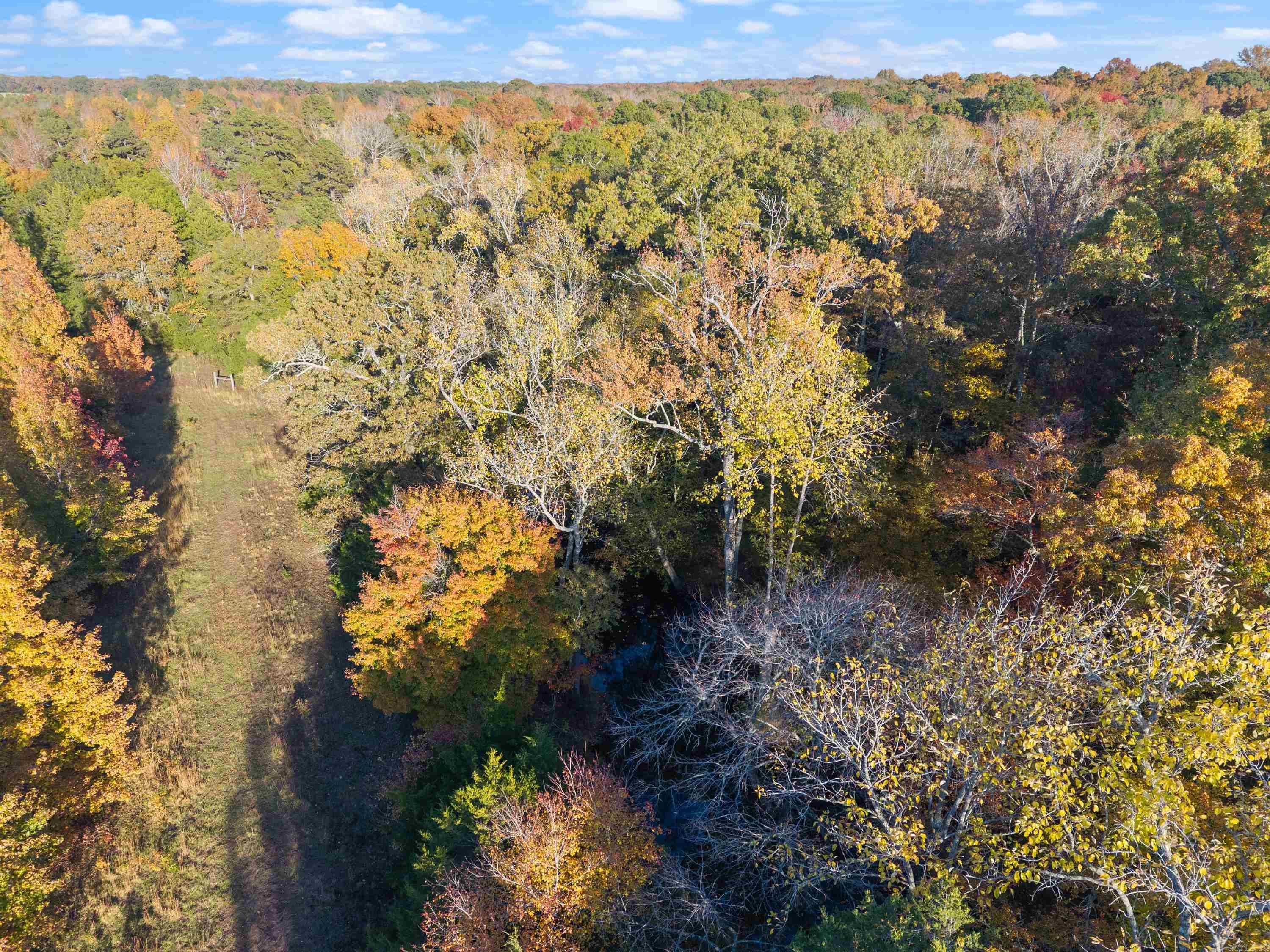 172 Blackfork Rd  Greenbrier, AR