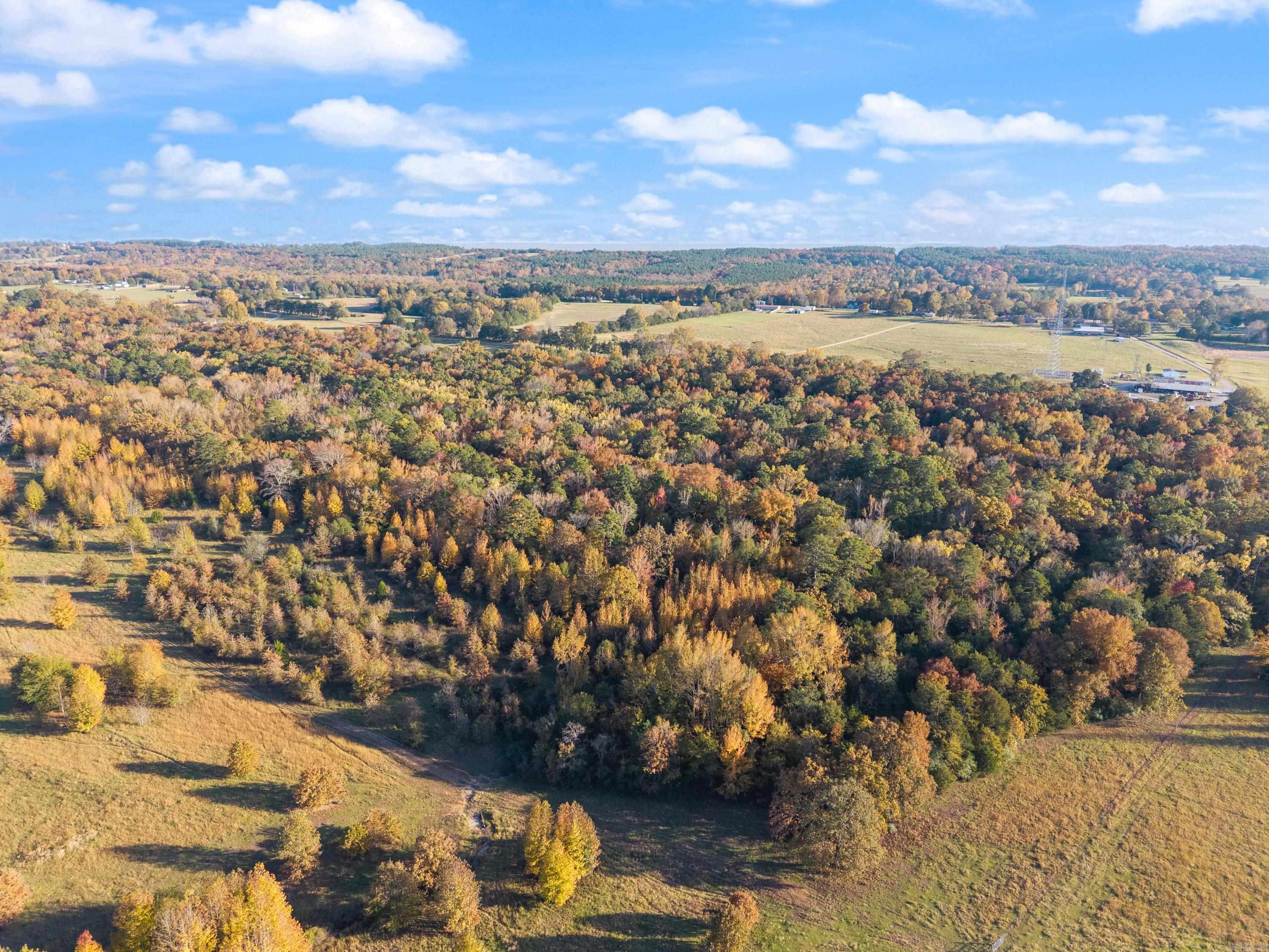 172 Blackfork Rd  Greenbrier, AR
