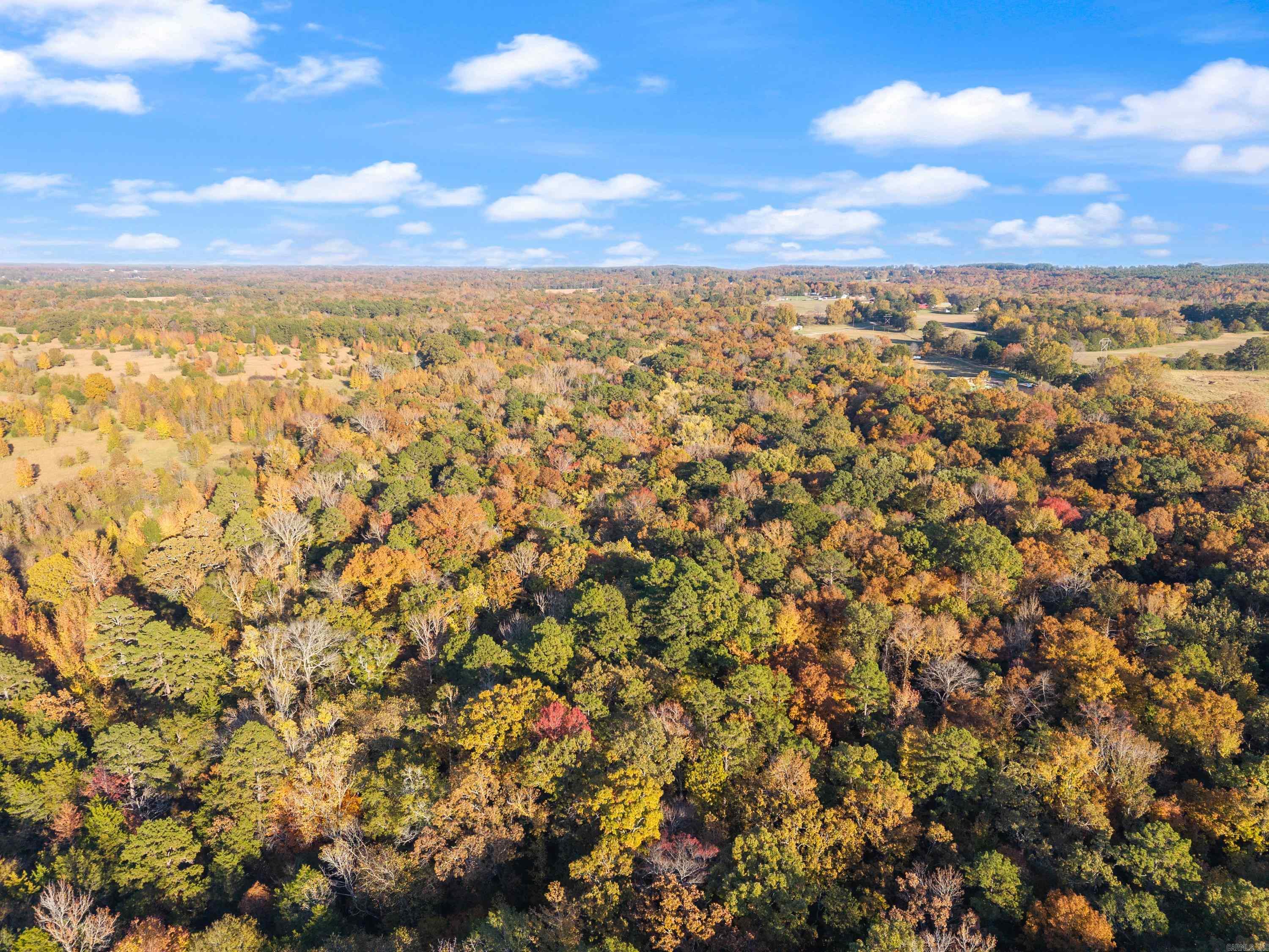 172 Blackfork Rd  Greenbrier, AR