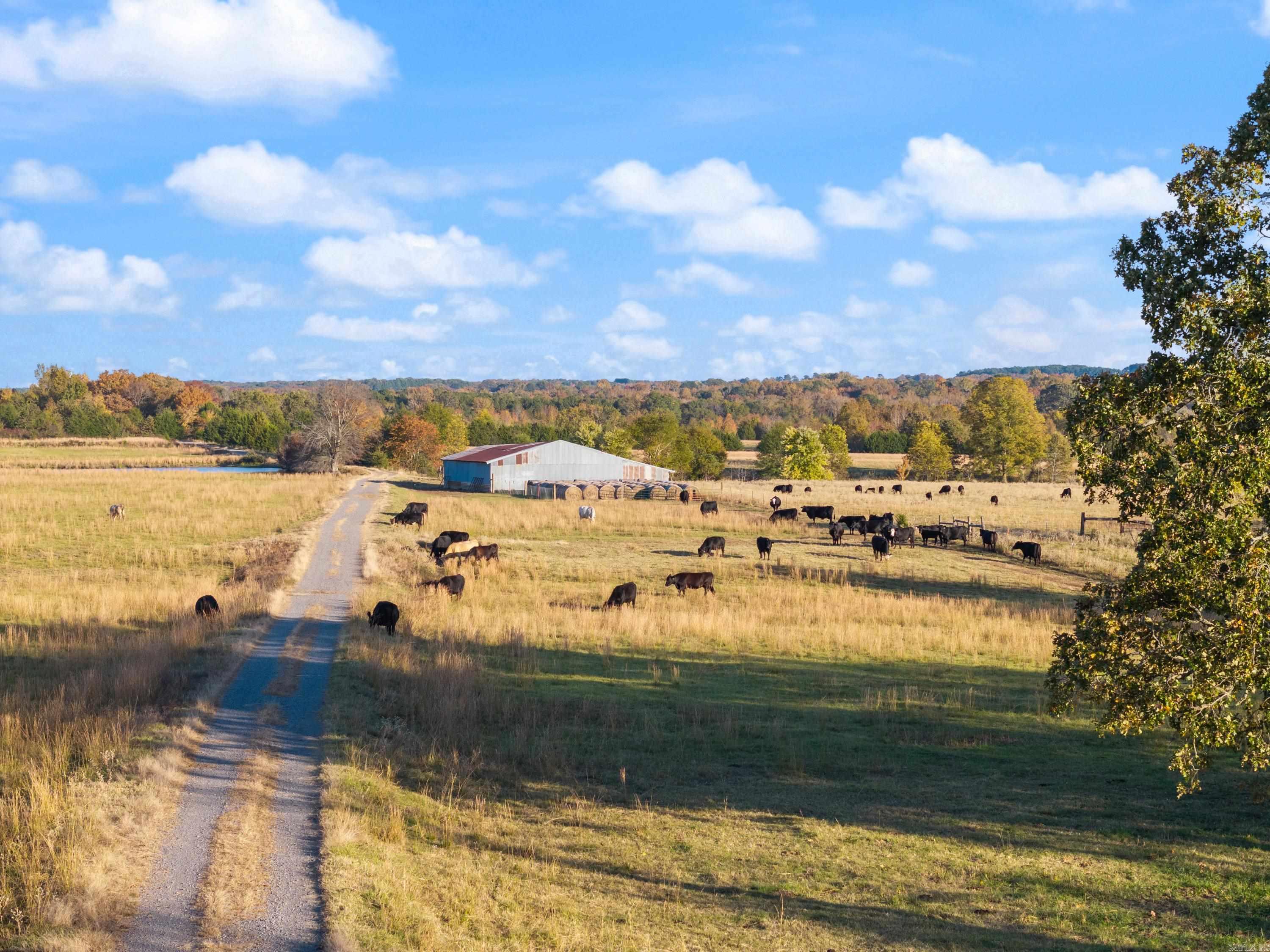 172 Blackfork Rd  Greenbrier, AR