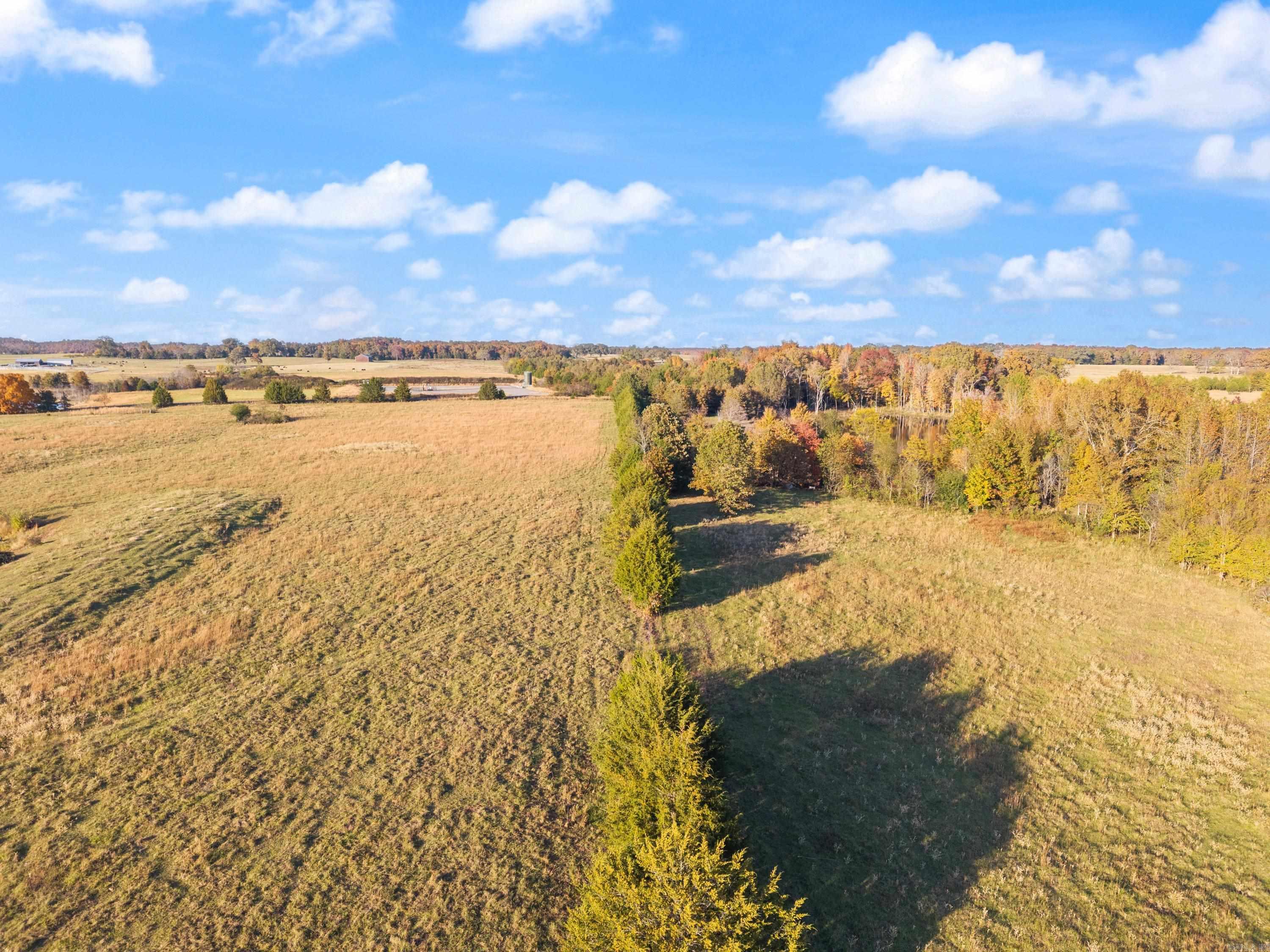 172 Blackfork Rd  Greenbrier, AR