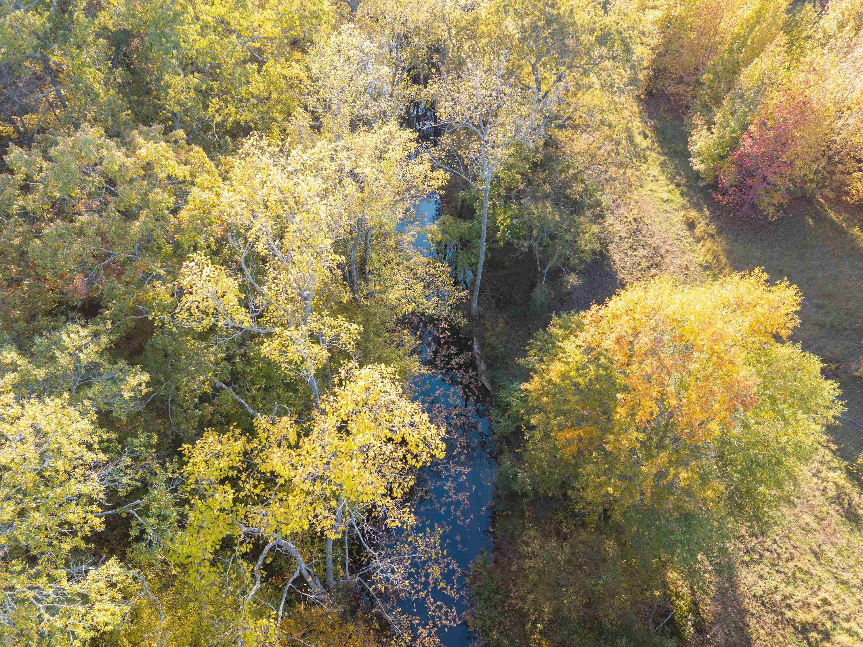 172 Blackfork Rd  Greenbrier, AR