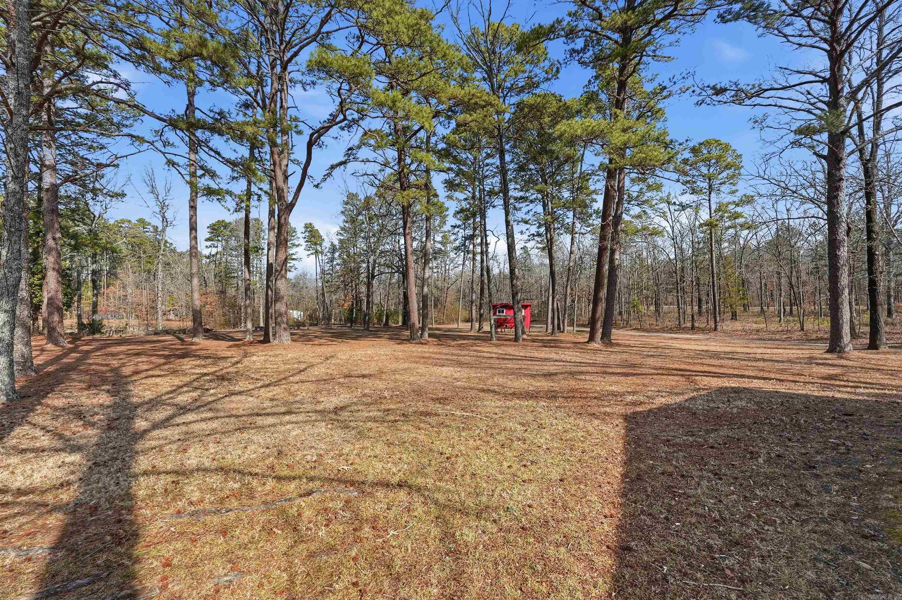 54 Devils Fork  Greers Ferry, AR