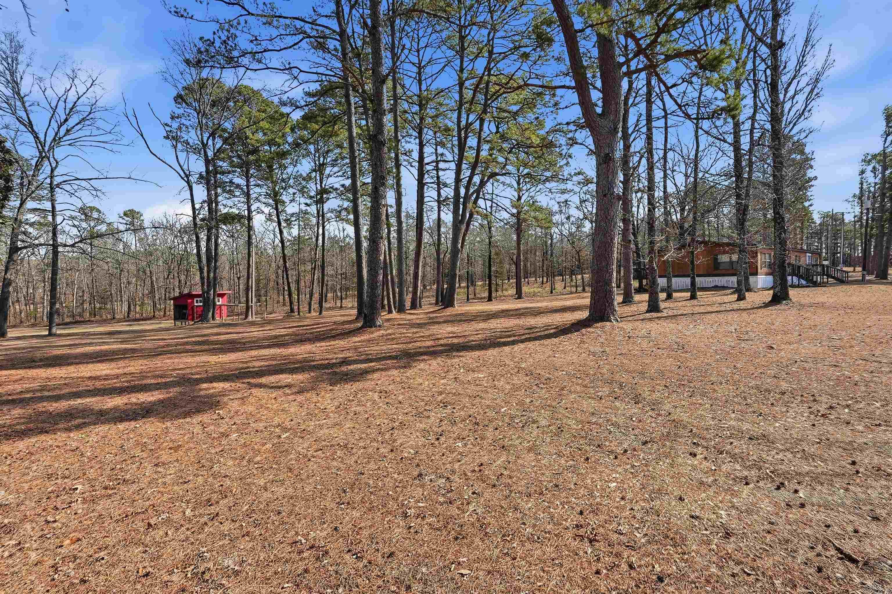 54 Devils Fork  Greers Ferry, AR