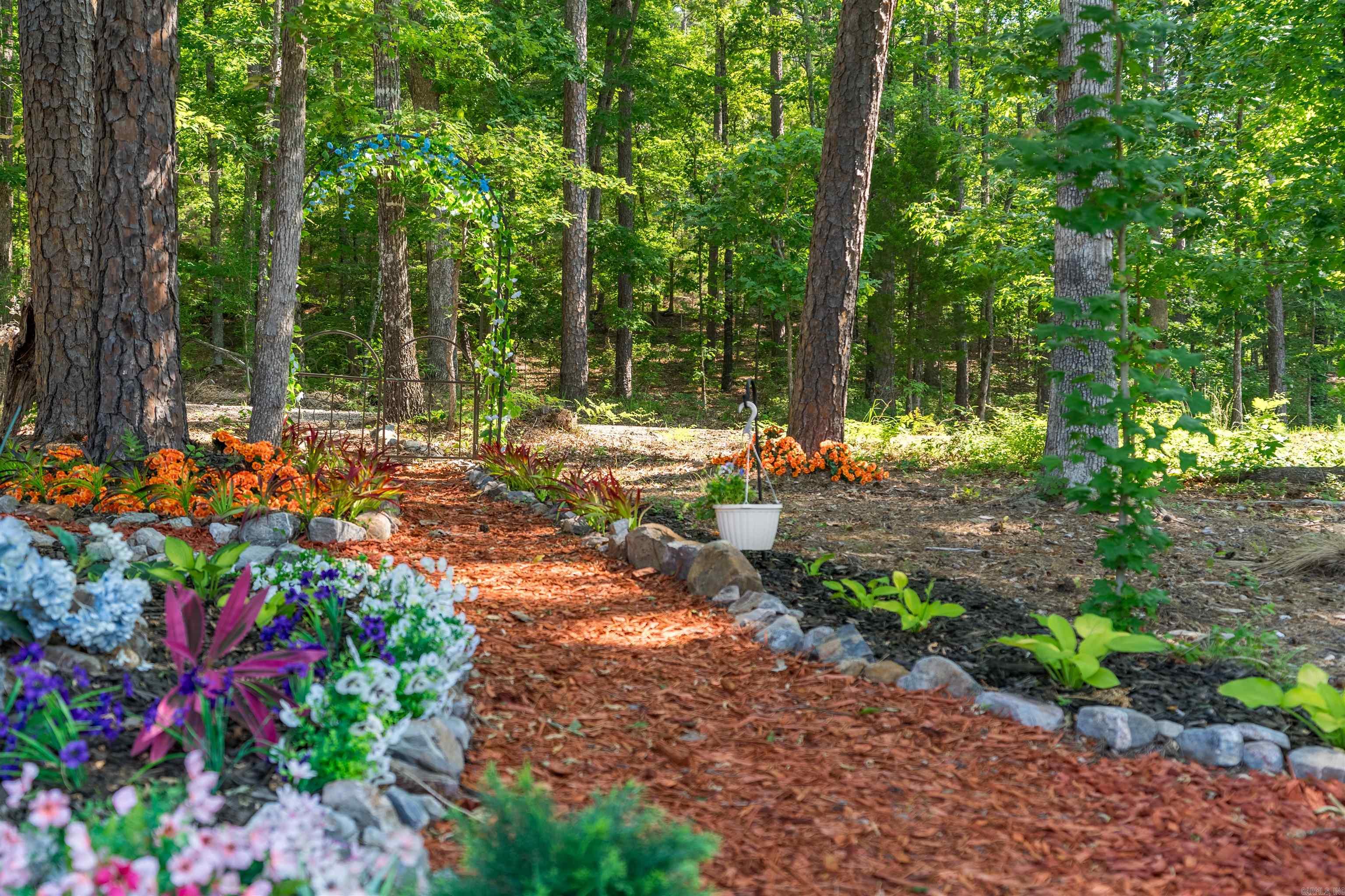14 Siega  Hot Springs Village, AR
