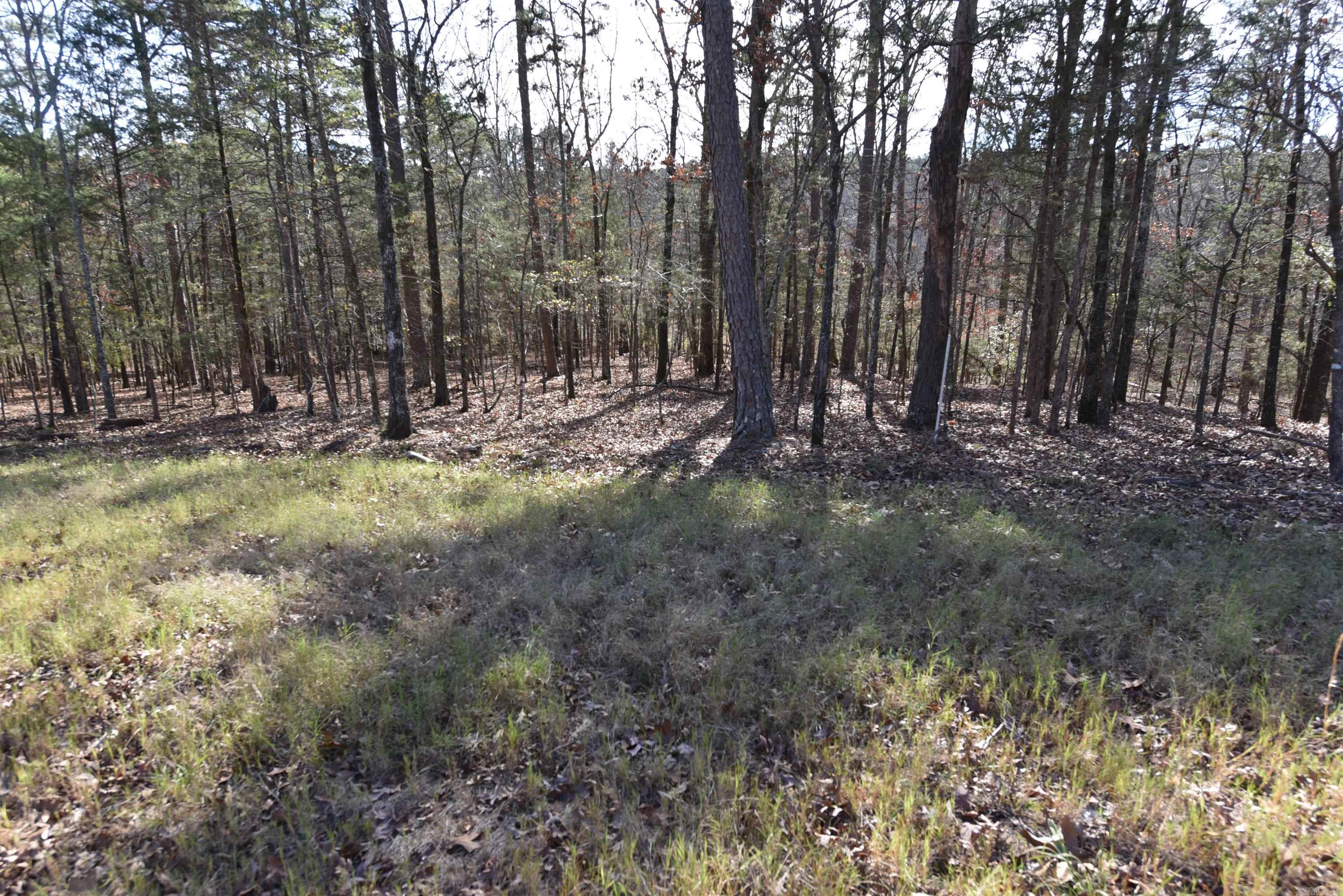 Tract 9 Sunnyside of the Bay  Fairfield Bay, AR