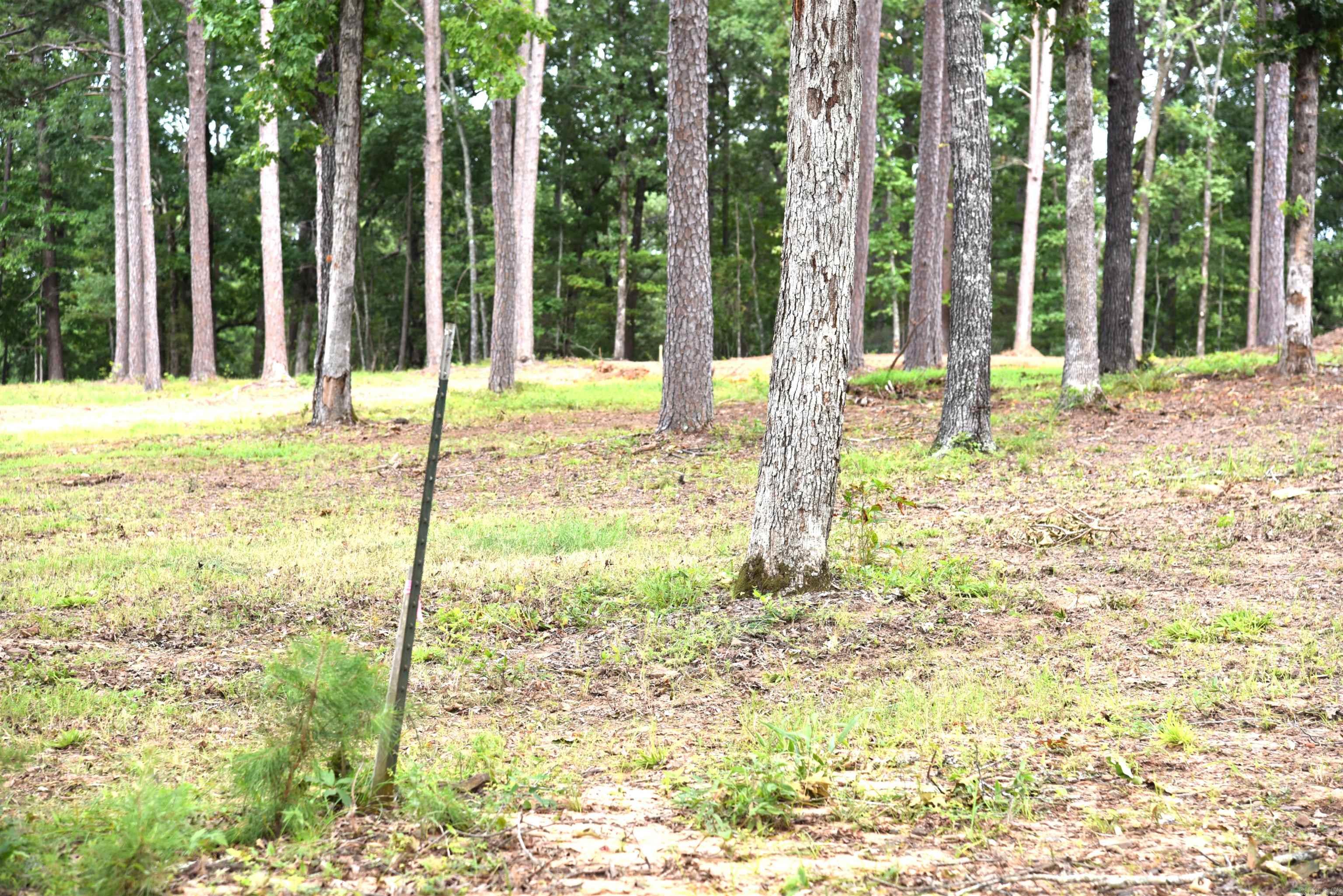 Tract 11 Sunnyside of the Bay  Fairfield Bay, AR