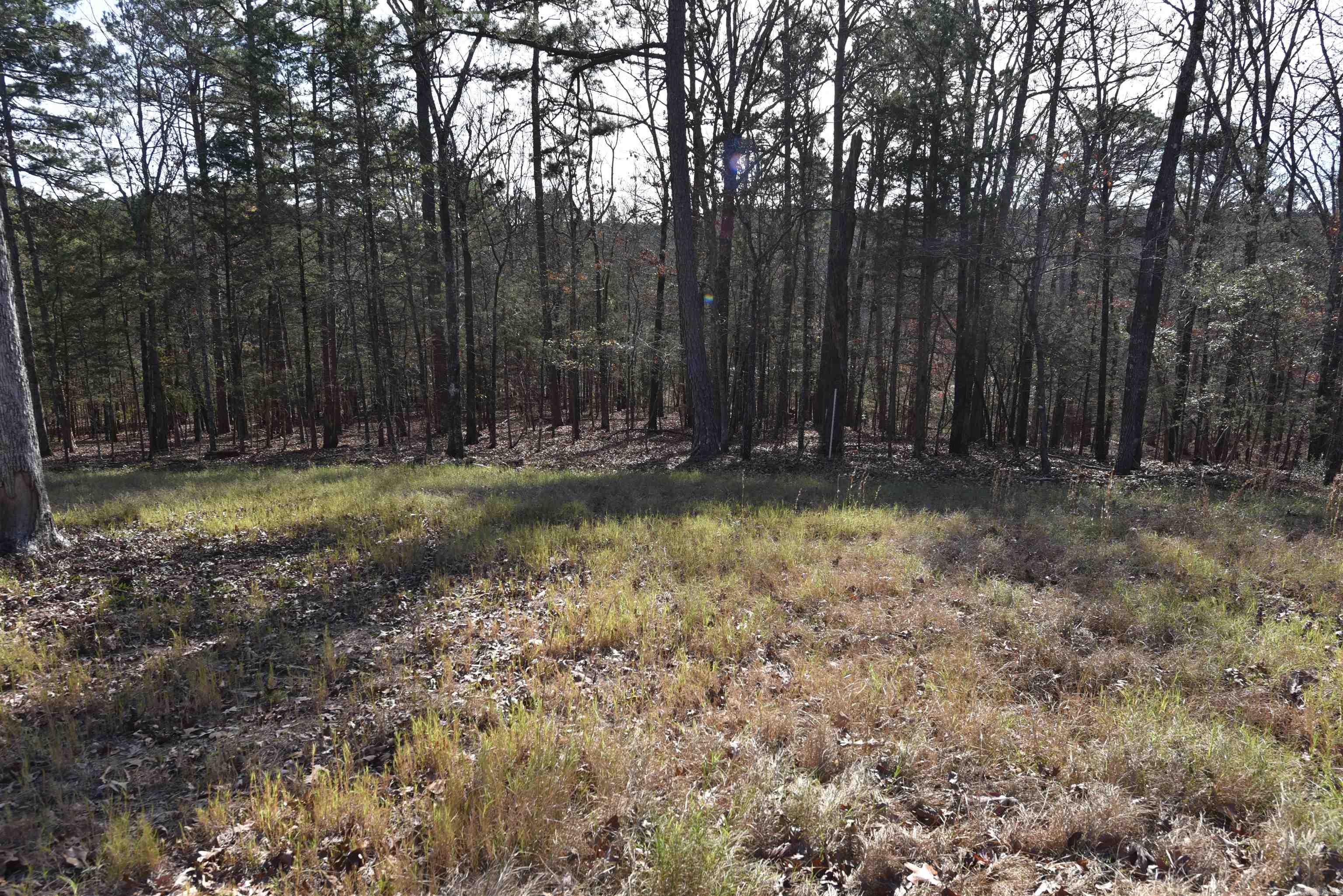 Tract 14 Sunnyside of the Bay  Fairfield Bay, AR