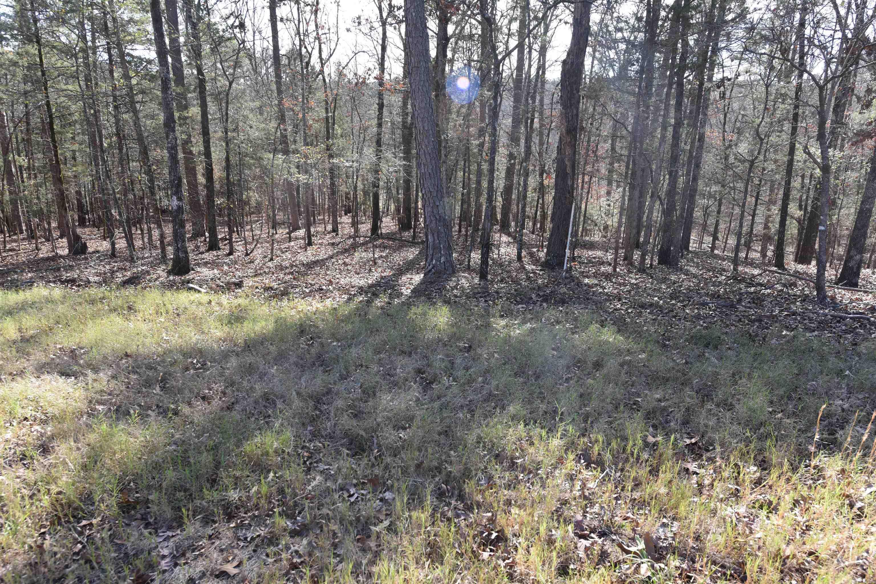 Tract 14 Sunnyside of the Bay  Fairfield Bay, AR