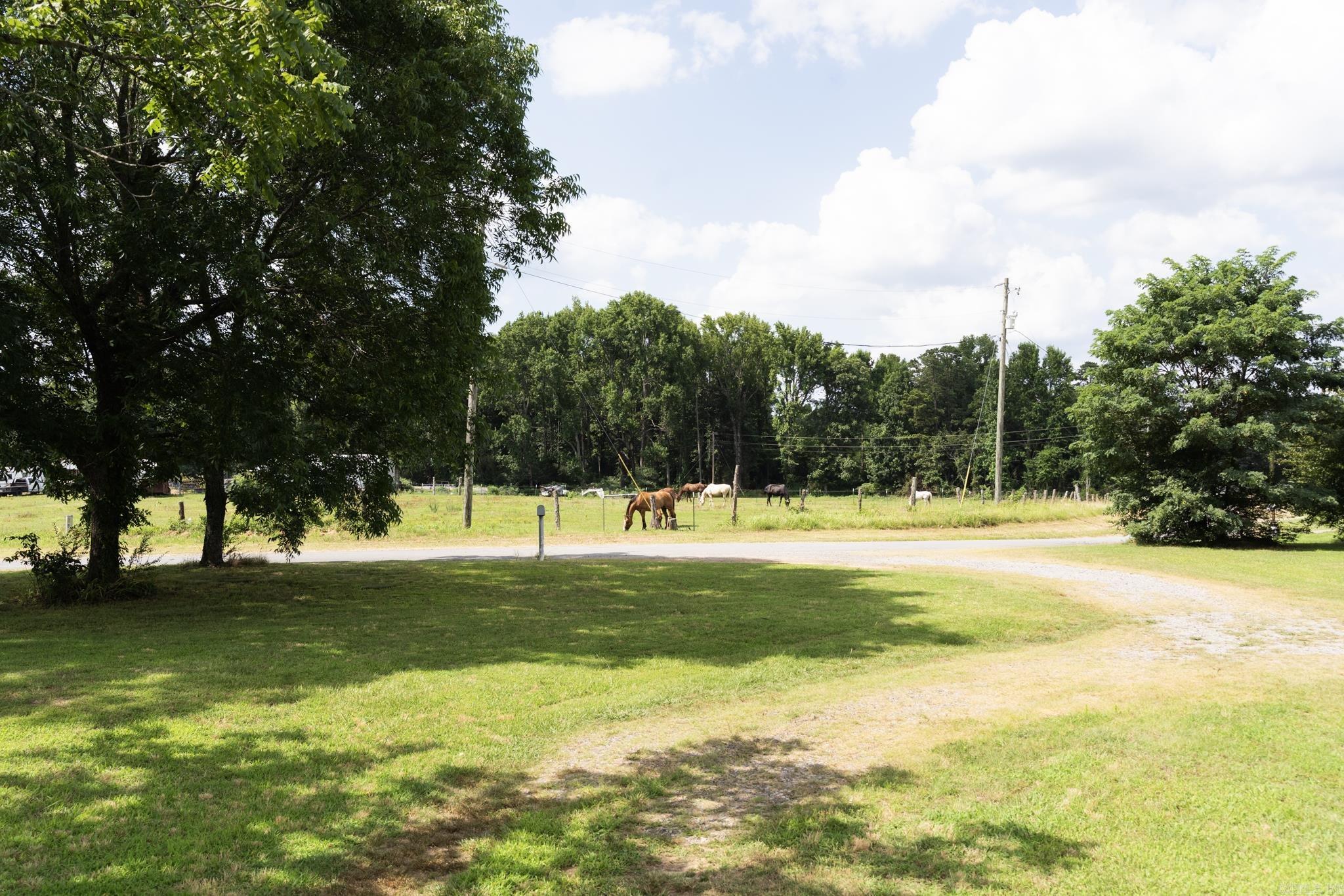 1075 Firehouse Rd  Quitman, AR
